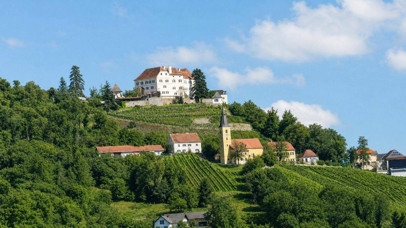 Historisches Schloss und Kirche auf einem bewaldeten Hügel mit Weinbergen in der Ferne.