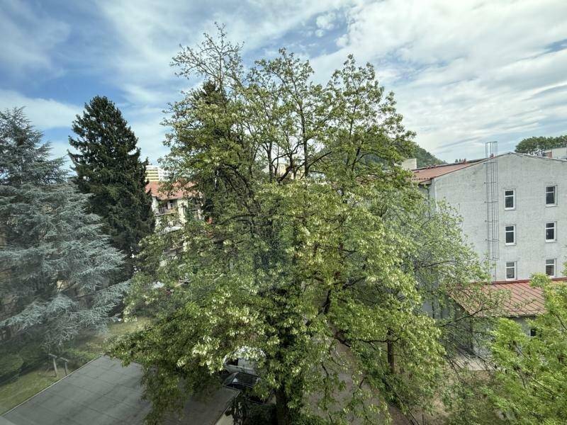 Blick aus dem Fenster auf grüne Bäume und umliegende Gebäude in der Stadt.