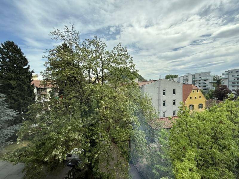 Weitblick aus dem Fenster über grüne Bäume und die Dächer der Stadt.
