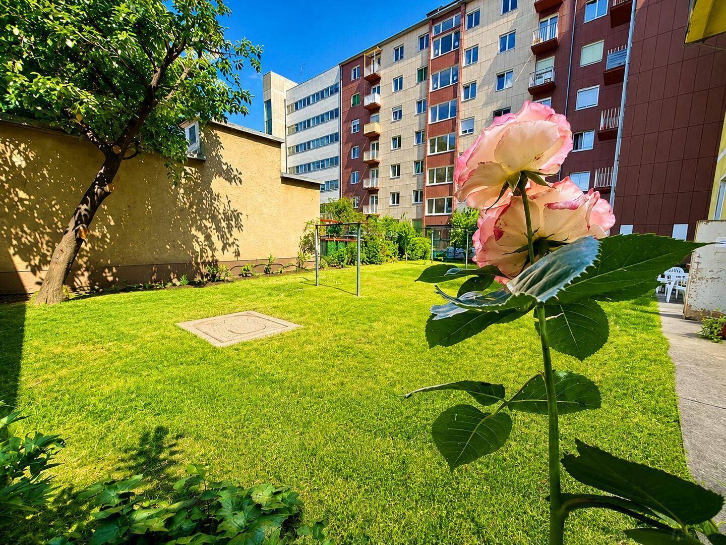 Gepflegter Gartenbereich mit Rasenfläche und blühenden Rosen, umgeben von Wohngebäuden.