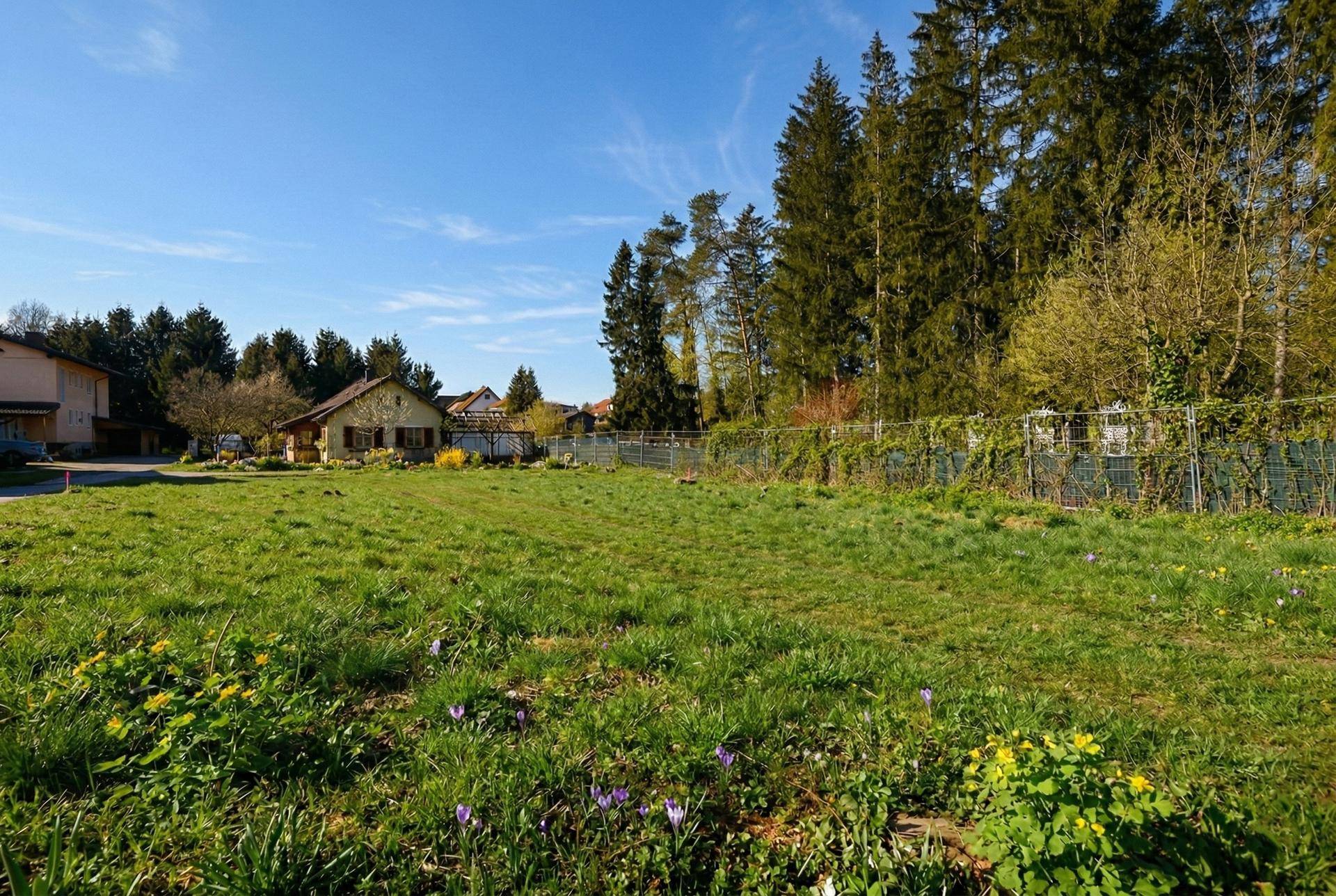 Sonniges Grundstück mit grüner Wiese, umzäunt und umgeben von Bäumen und Häusern.