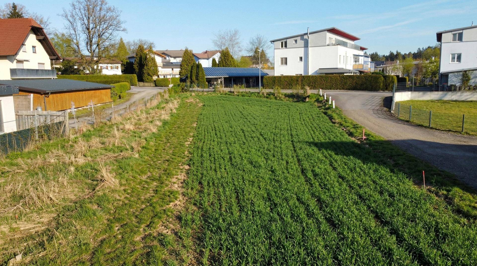 Langes, grünes Grundstück mit junger Bepflanzung, umgeben von Wohnhäusern und Bäumen.