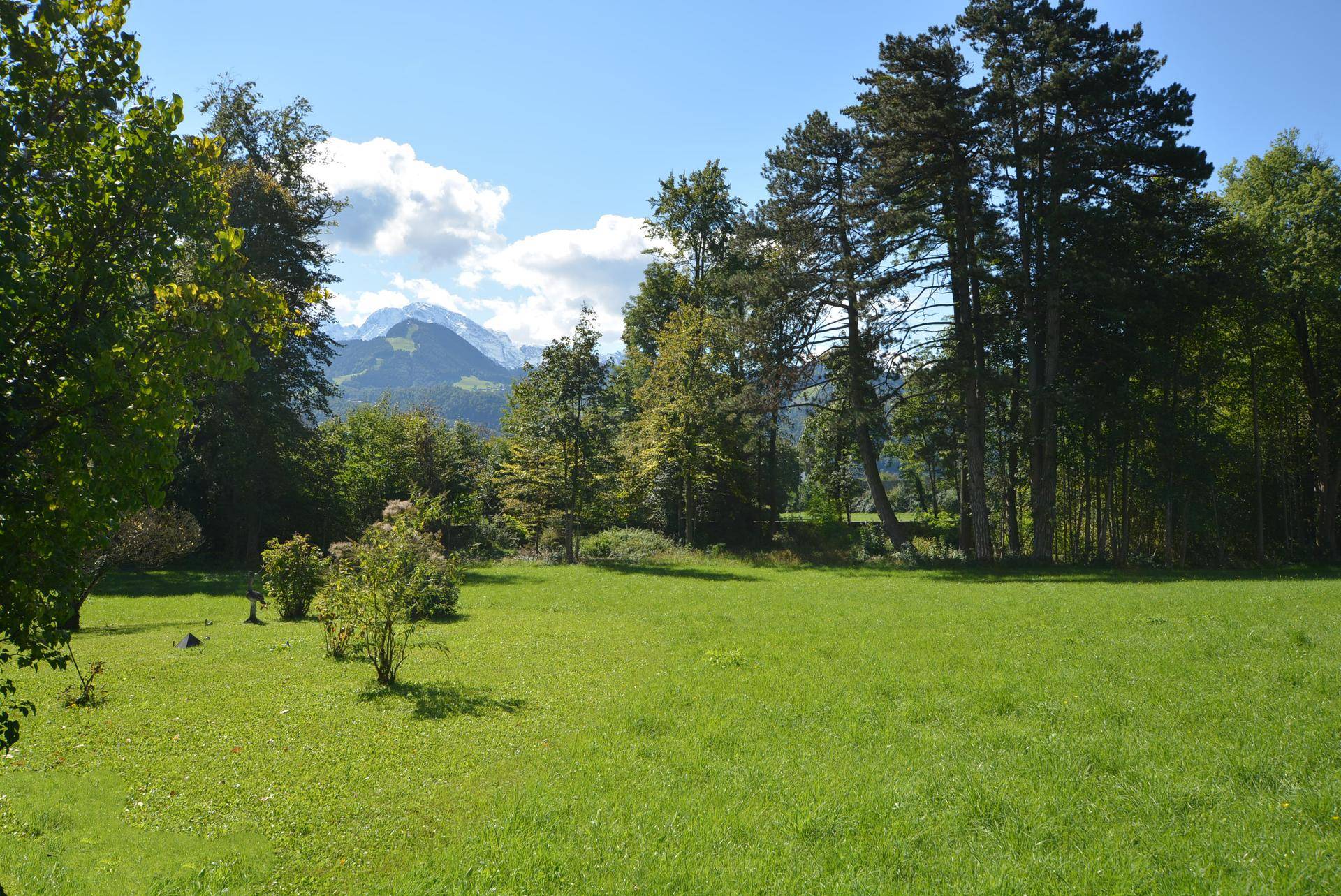Idyllische Landschaft mit grünen Wiesen, hohen Bäumen und schneebedeckten Bergen im Hintergrund.