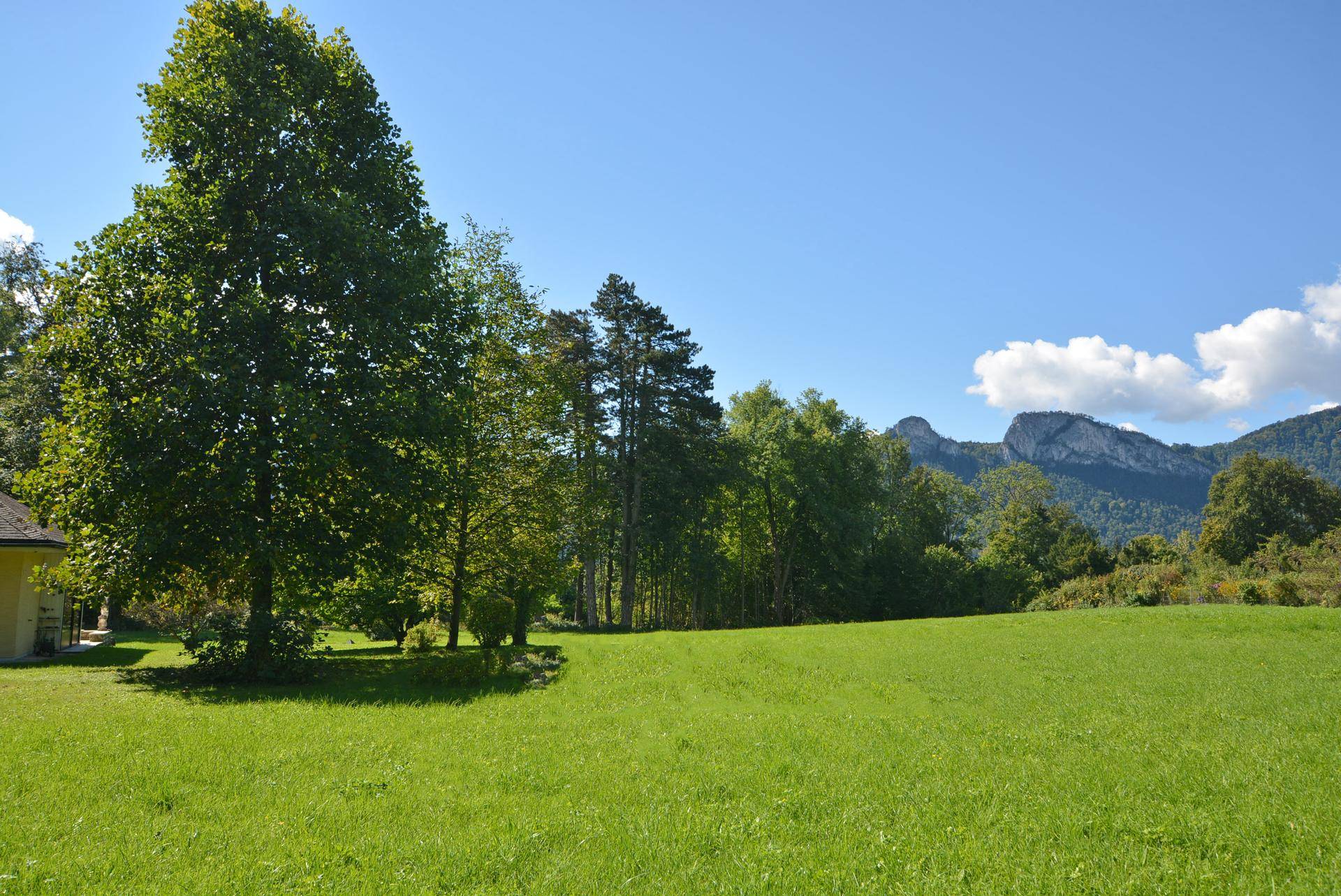 Weitläufige grüne Wiese mit Bäumen und einem malerischen Bergblick am Horizont.