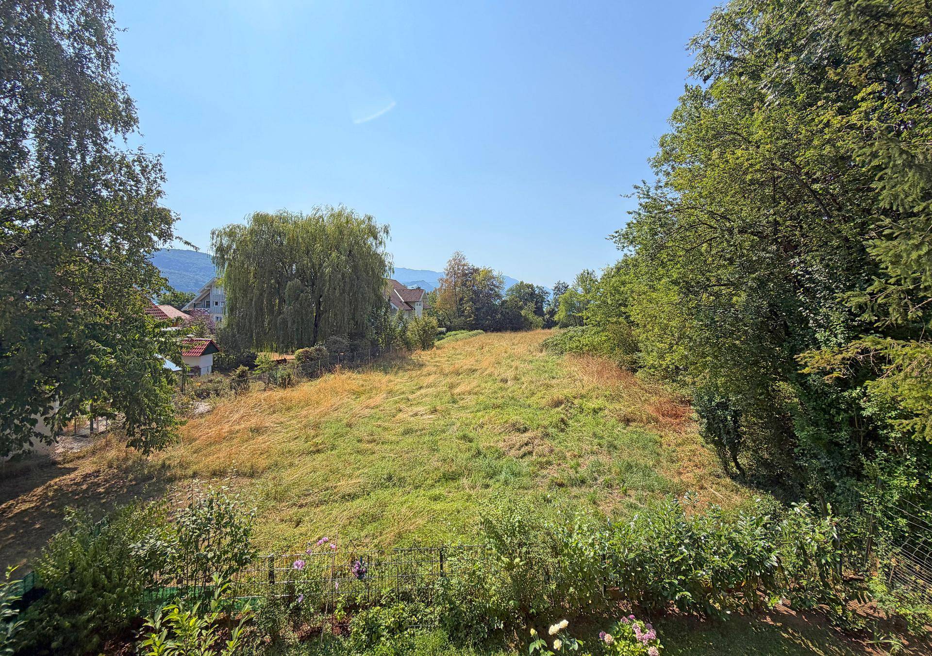 Weitläufige grüne Wiese mit Bäumen und Bergen im Hintergrund unter einem klaren blauen Himmel.
