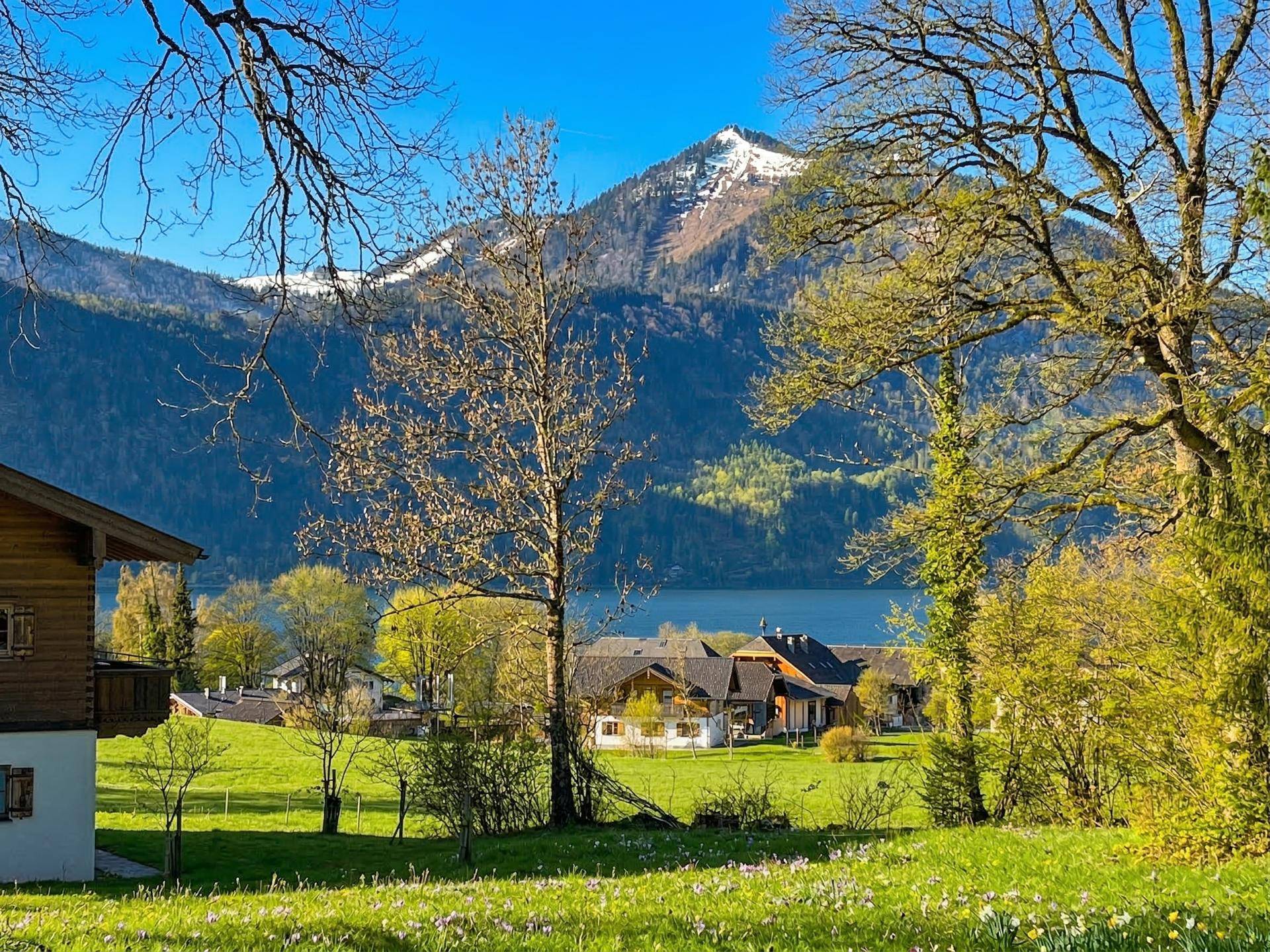 Sonniger Ausblick auf einen See und schneebedeckte Berge, umgeben von grünen Wiesen und Häusern.