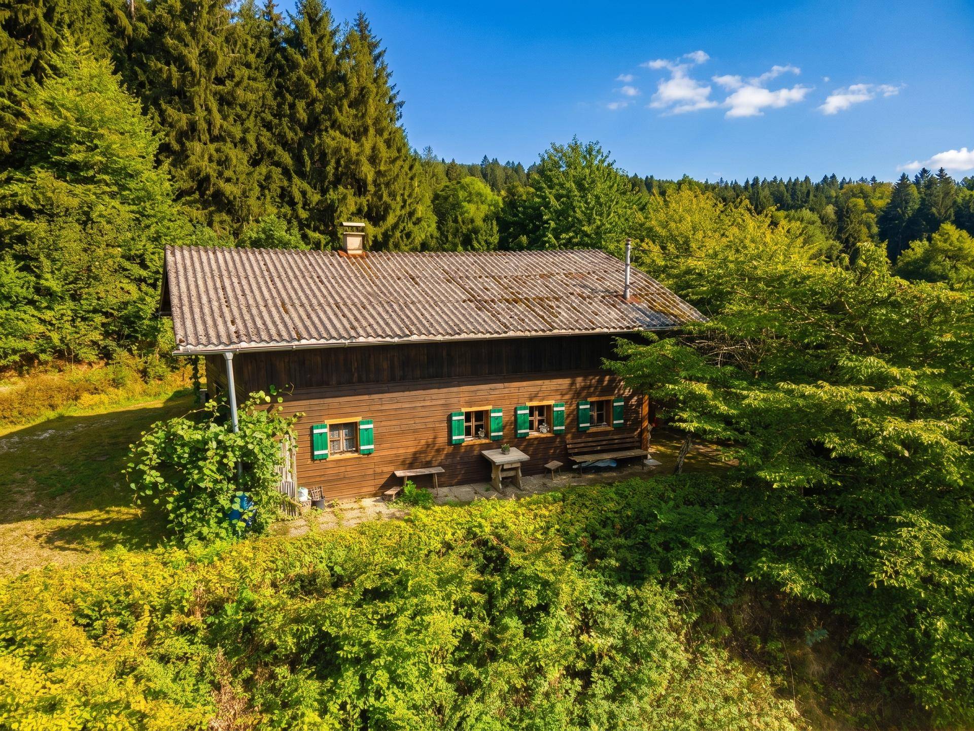 Luftaufnahme eines traditionellen Holzchalets, umgeben von üppigem Grün und hohen Bäumen.