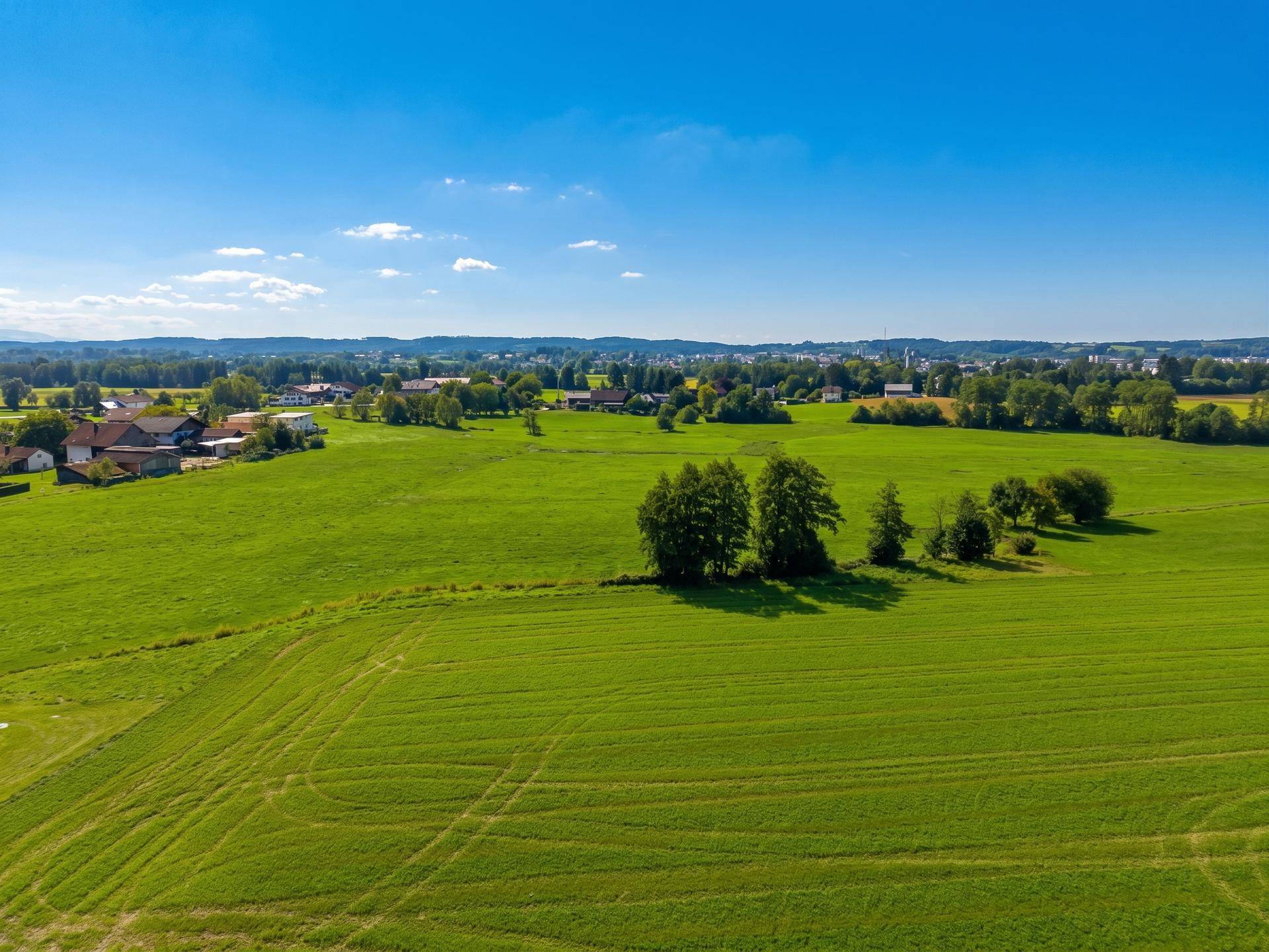 Weite grüne Felder mit vereinzelten Bäumen und einem Dorf in der Ferne unter blauem Himmel.