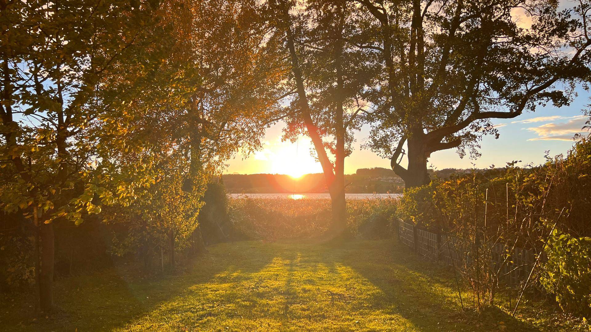 Malerischer Sonnenuntergang über dem See, umrahmt von herbstlichen Bäumen und einem grünen Rasen im Vordergrund.