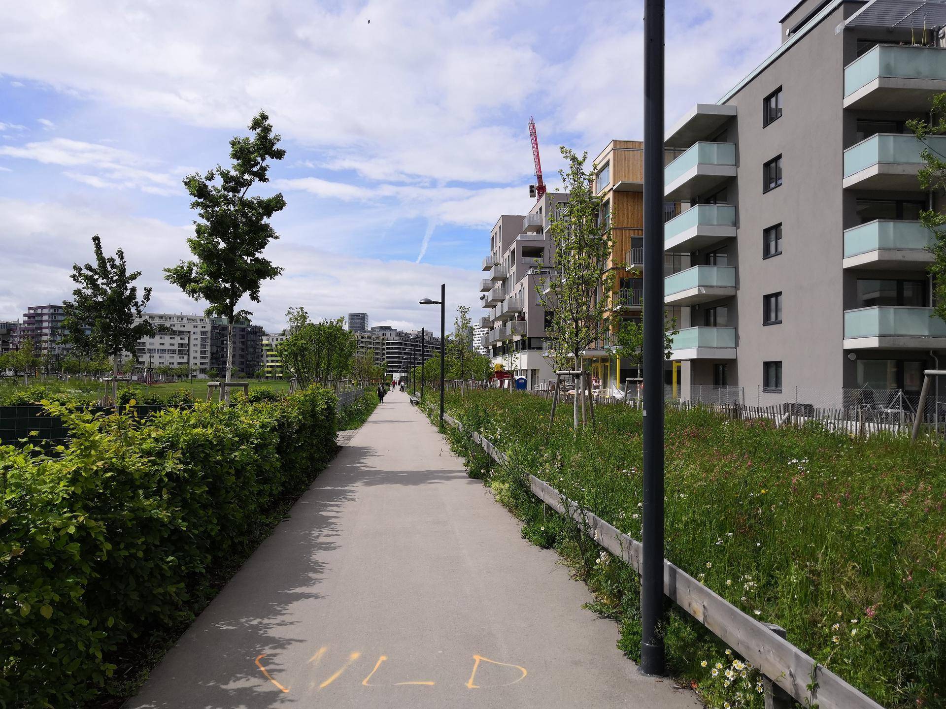 Grüner Parkweg zwischen modernen Wohngebäuden mit Bäumen und Büschen.