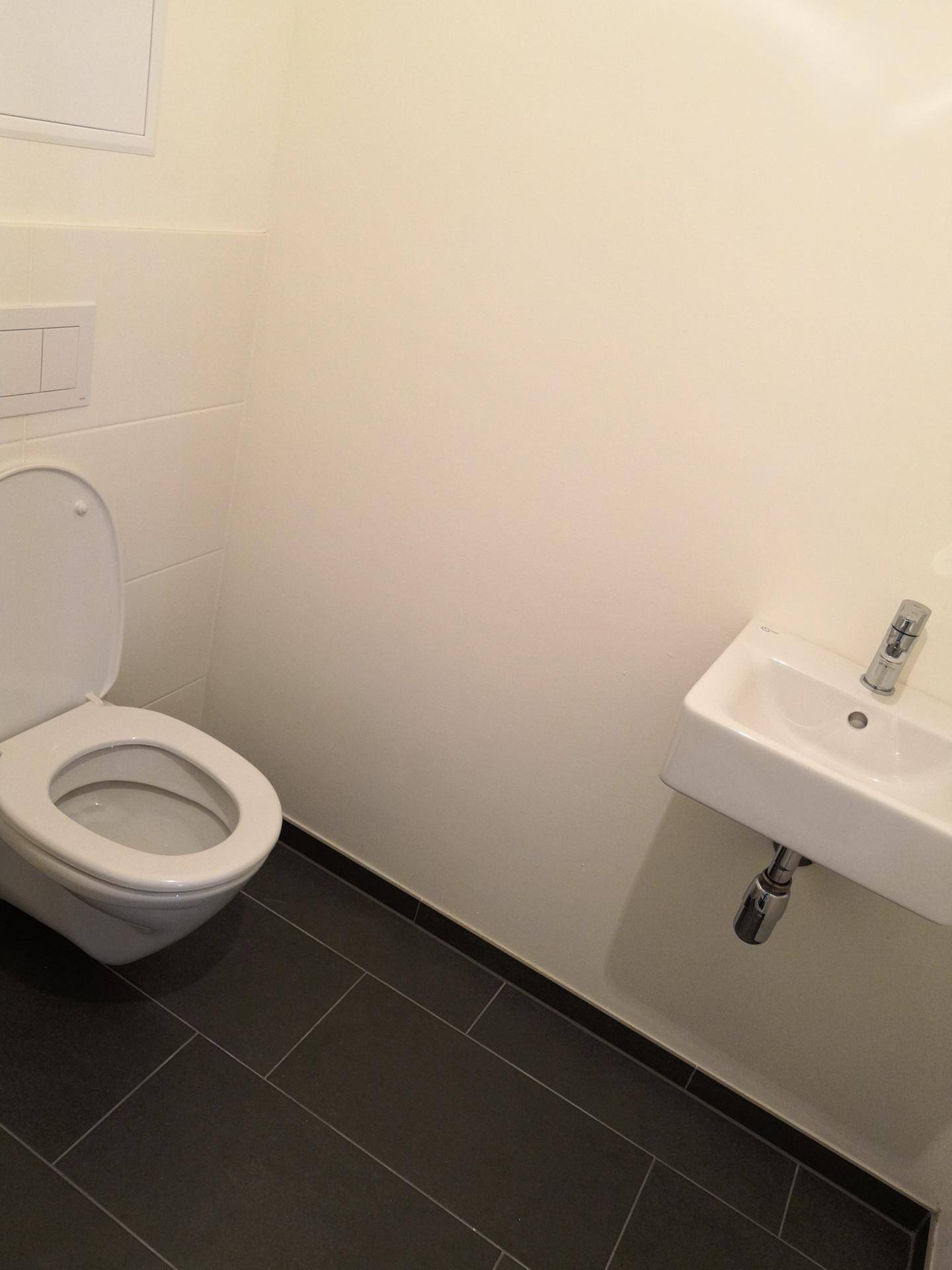 Separates WC mit wandhängender Toilette, kleinem Waschbecken und dunklen Fliesen.