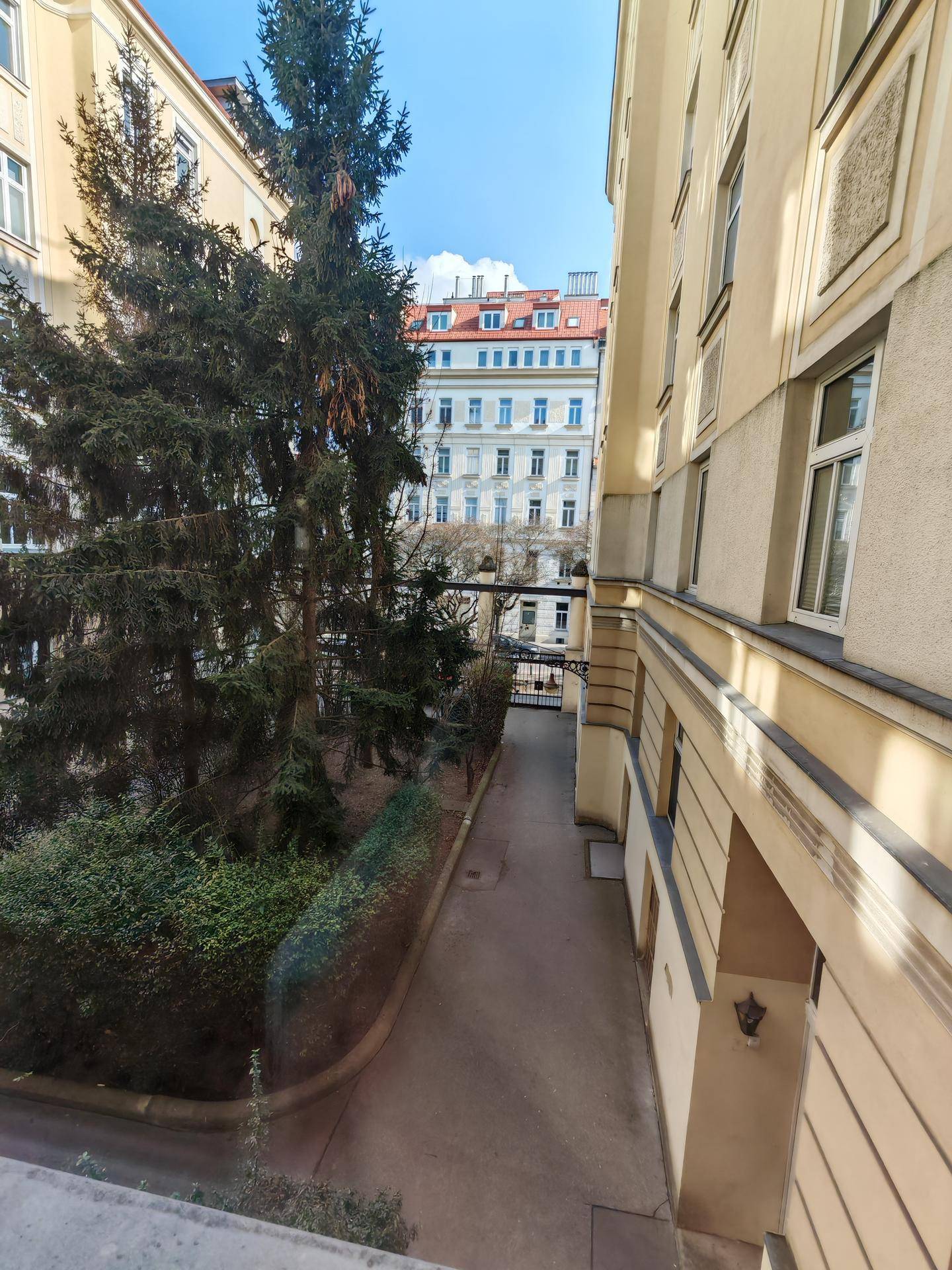 Blick aus dem Fenster auf einen grünen Innenhof mit Bäumen und umliegenden Gebäuden.