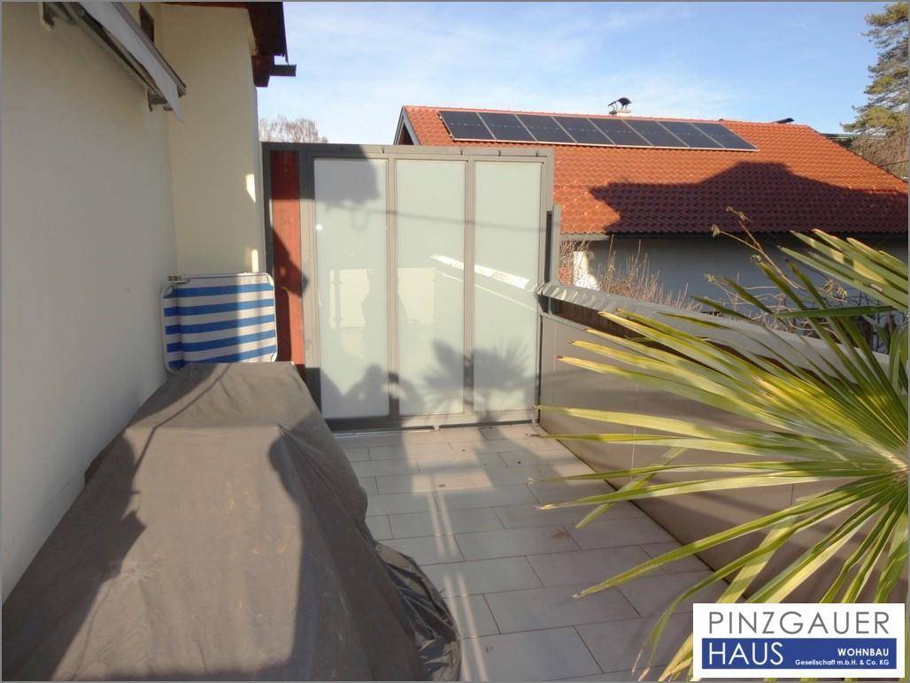 Sonniger Außenbereich mit Fliesenboden, Sichtschutz und einer Palme für mediterranes Flair.