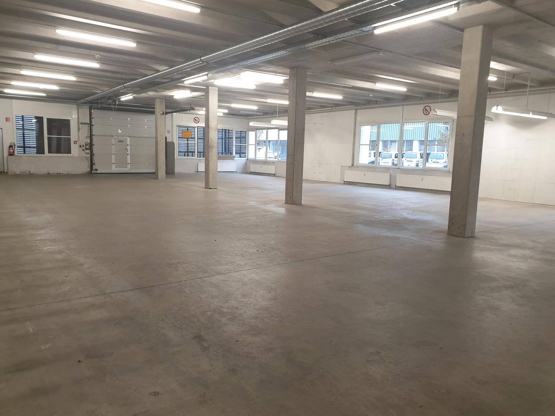 Großer, leerer Gewerberaum mit Betonboden, hohen Decken und vielen Leuchtstoffröhren.