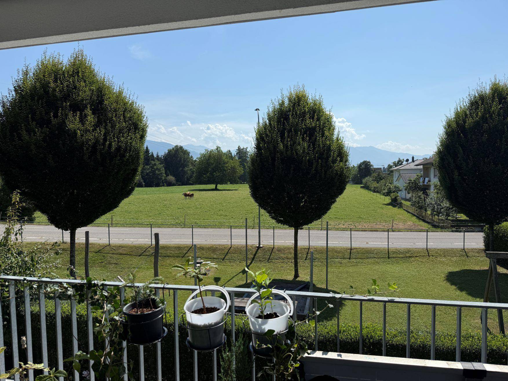Aussicht Terrasse
