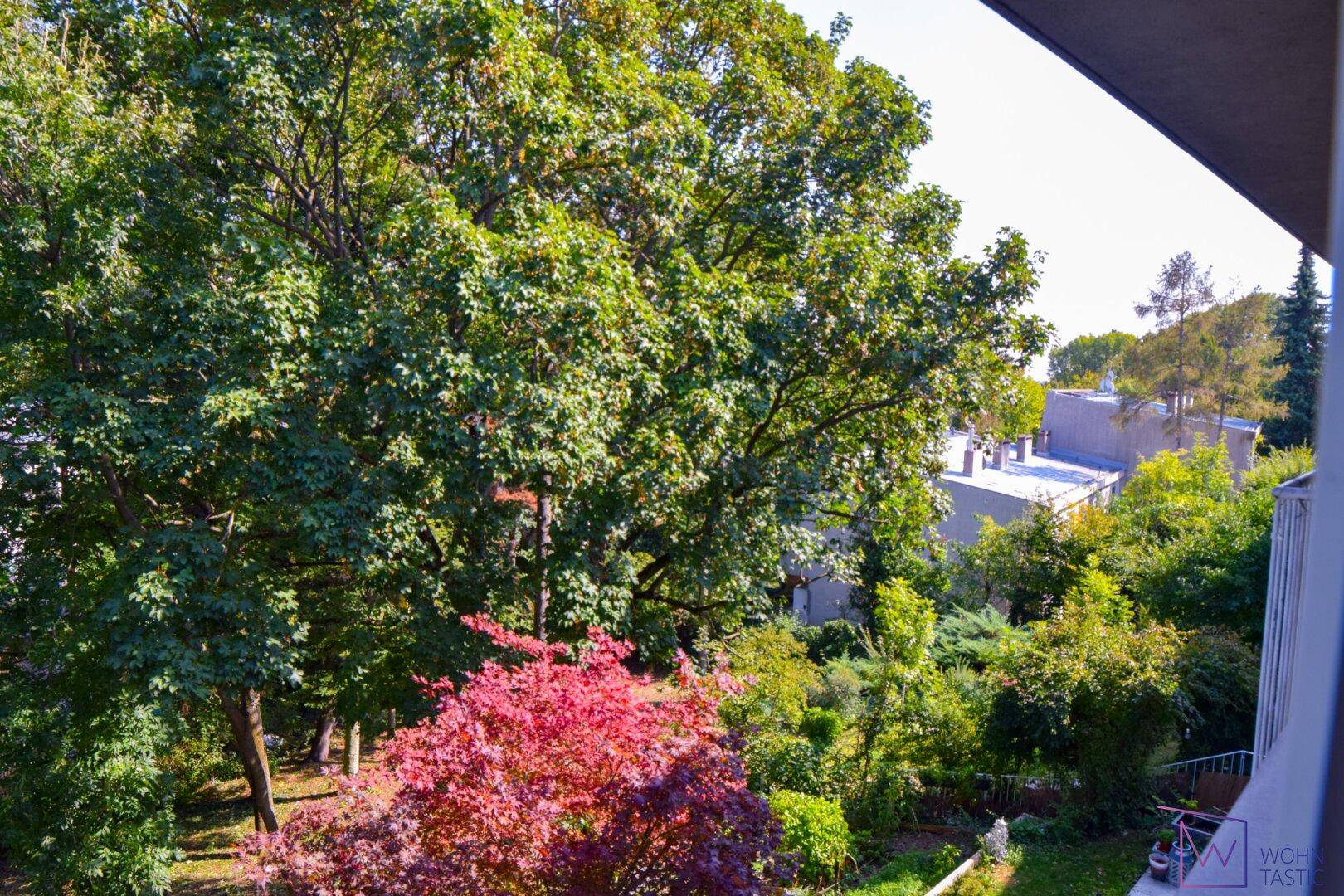 Ausblick von der Loggia.