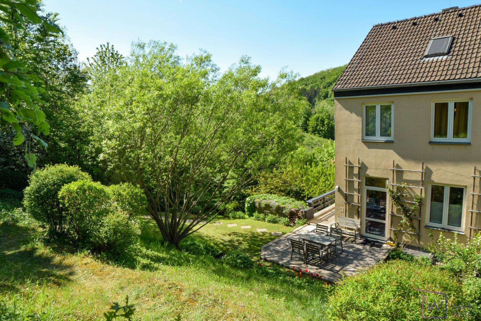 Blick in den Garten