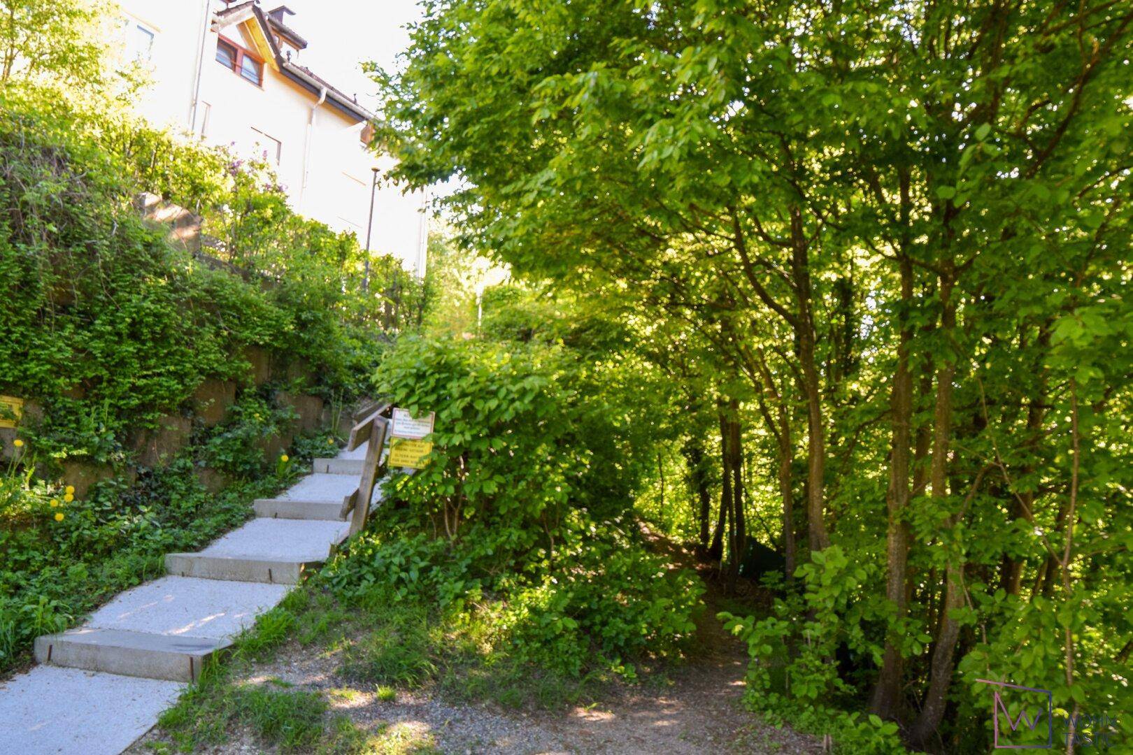 Zugang zum Eckreihenhaus