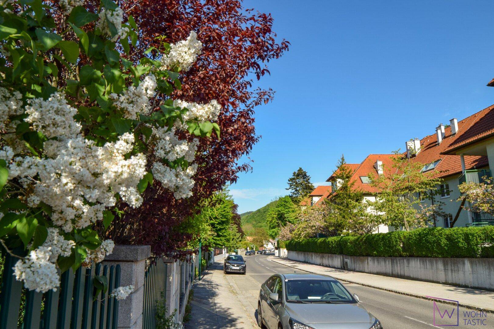 Umgebung