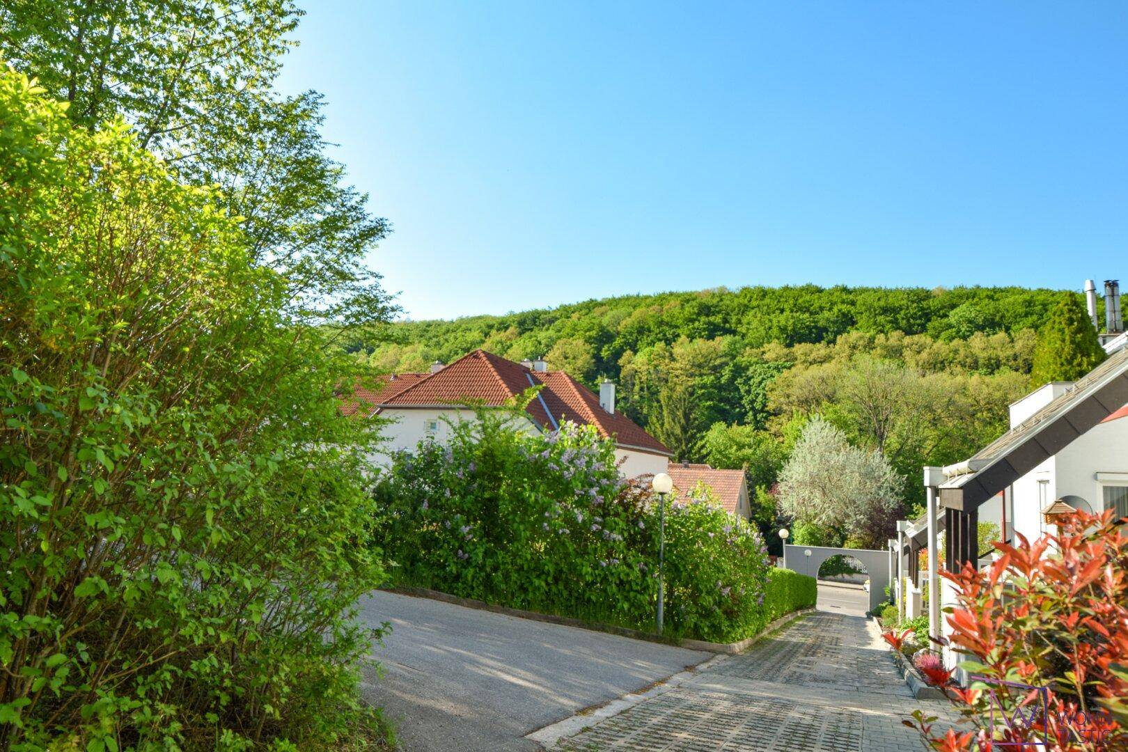 Einfahrt Wohnhausanlage
