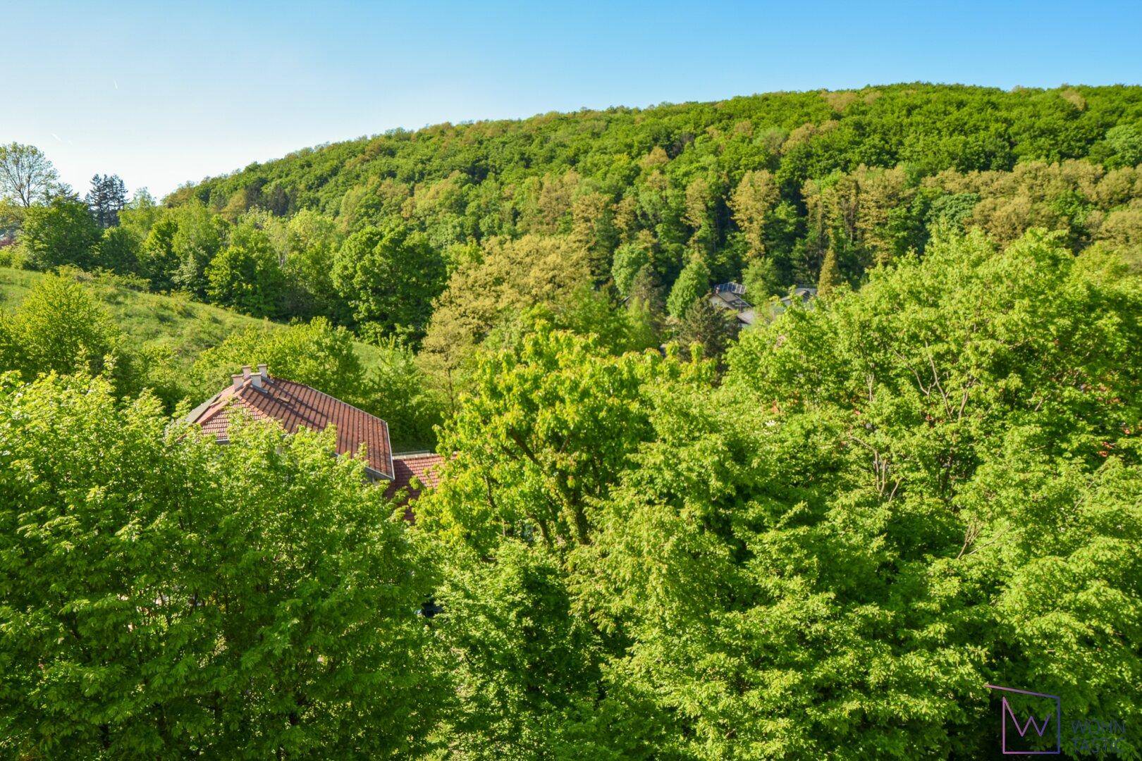 Ausblick Zimmer 3 (Schlafebene)