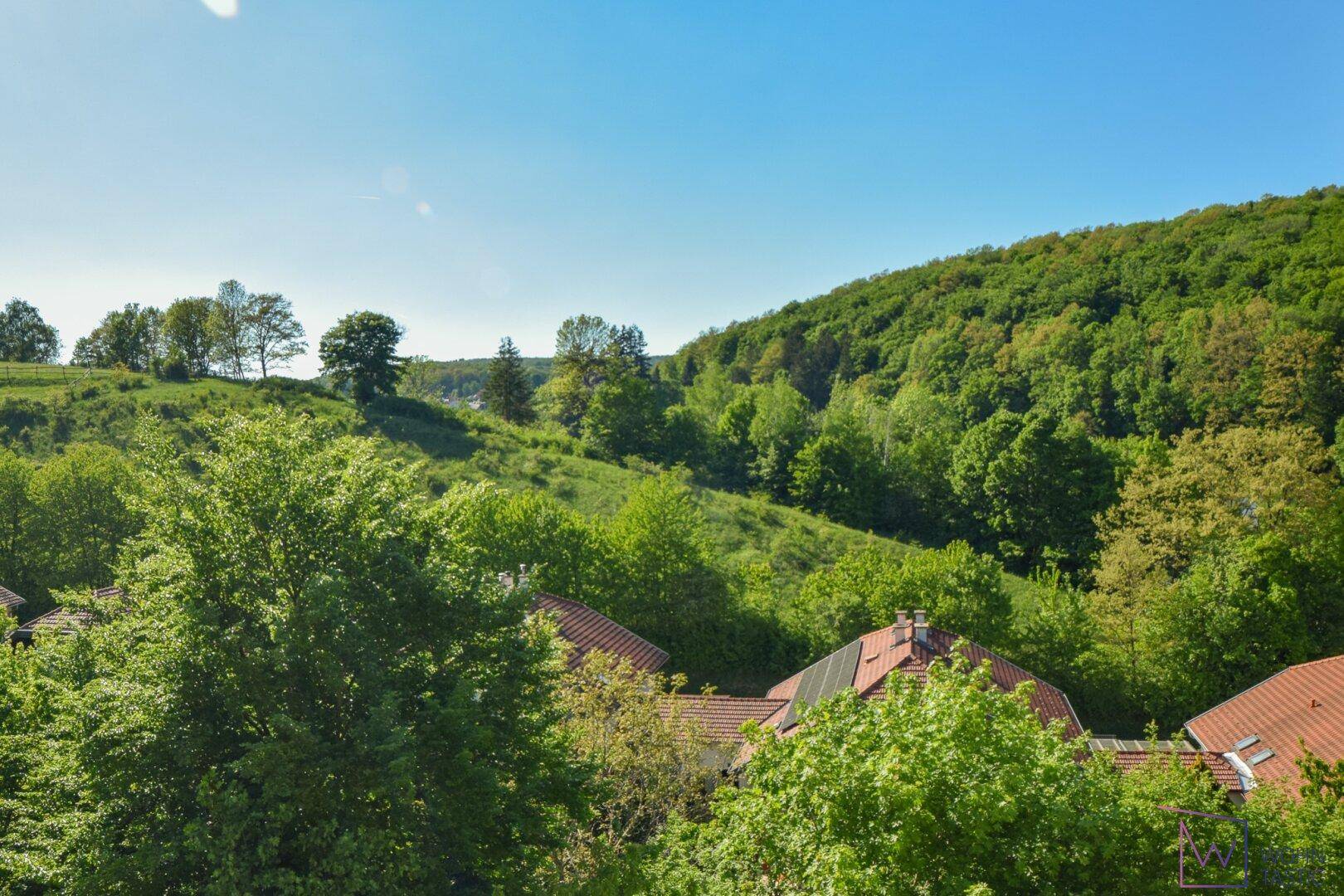 Ausblick