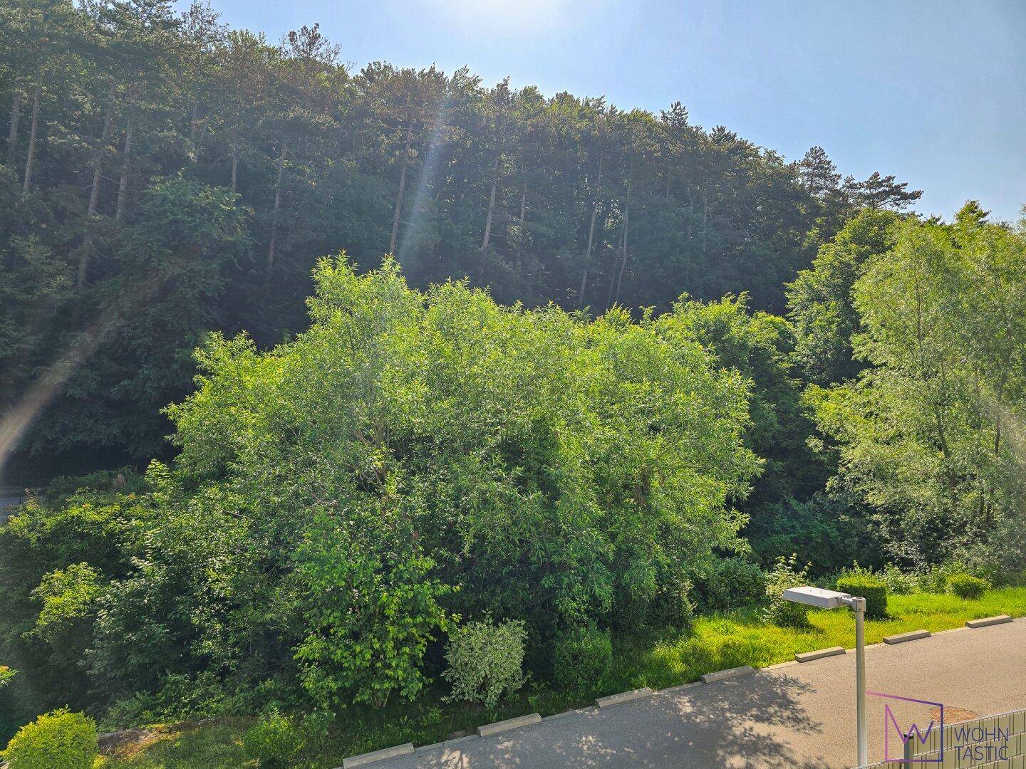 Blick vom eigenen Balkon