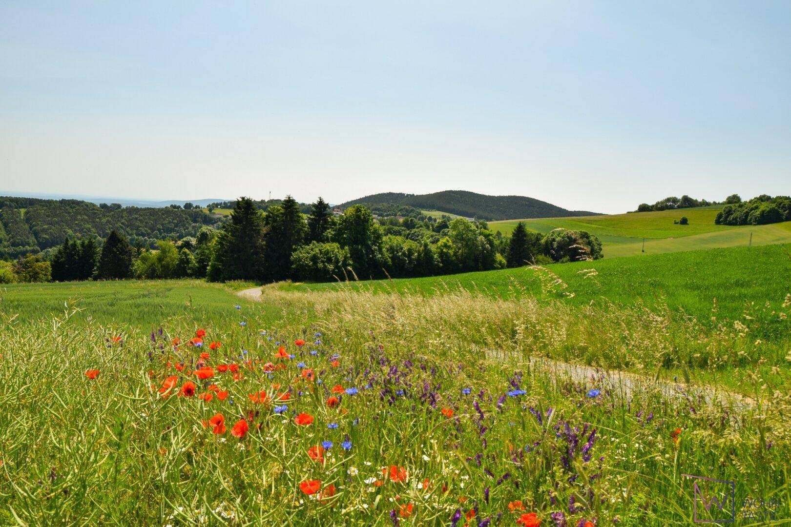 Wunderschöne Landschaft
