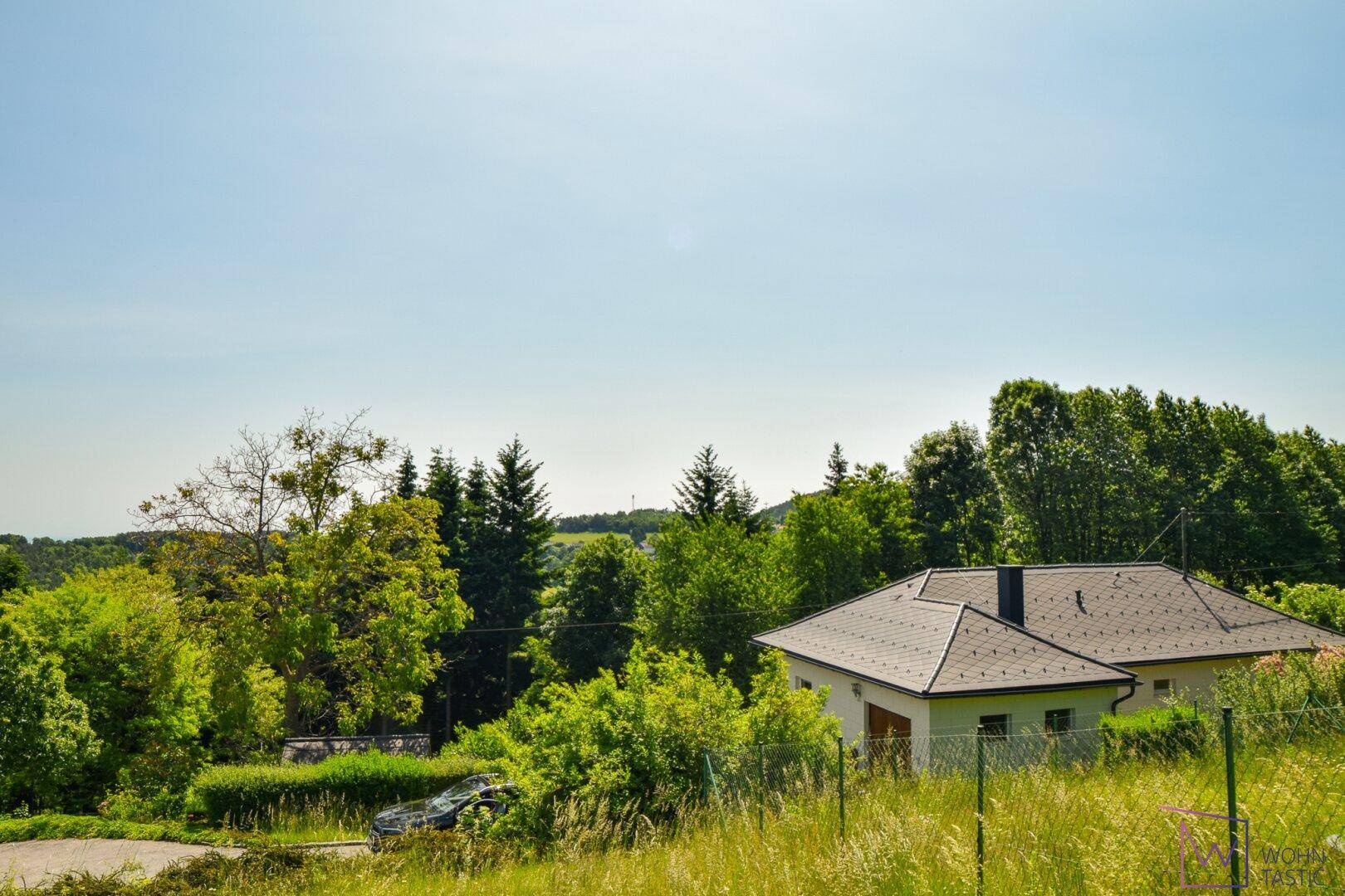 Blick zum Haus mit Waldgrundstück