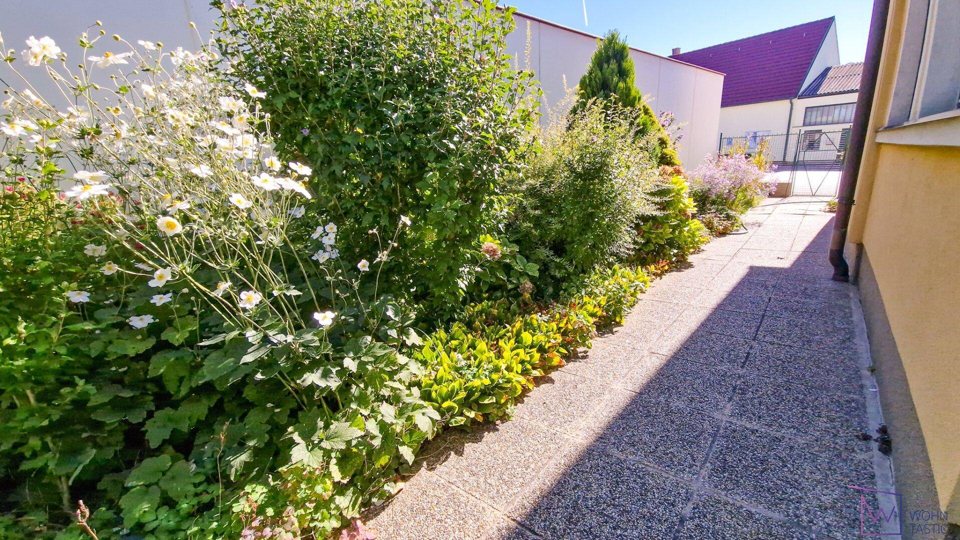 Eingangsbereich neben dem Haus.