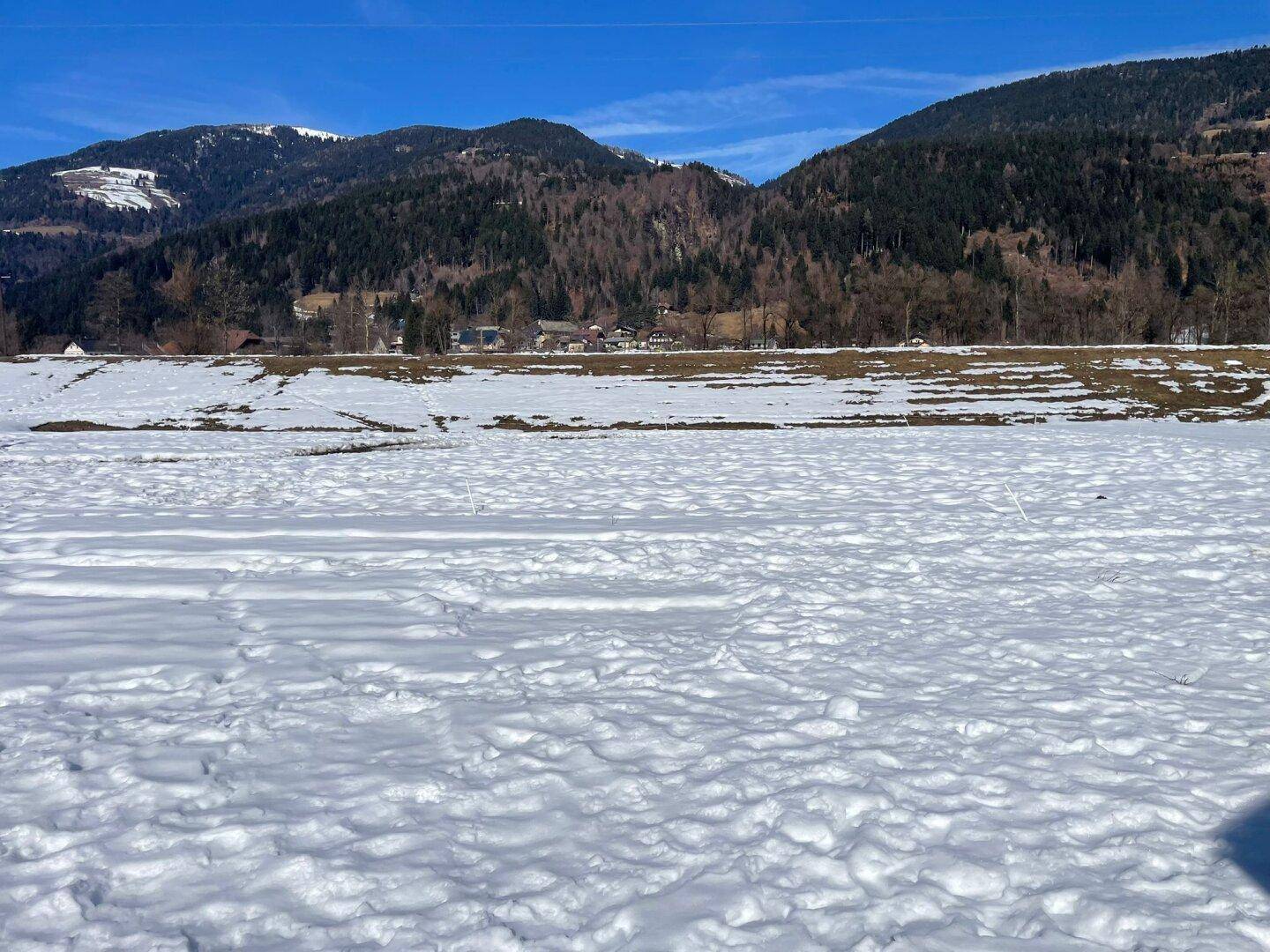 Weite, schneebedeckte Landschaft mit sanften Hügeln und Bergen im Hintergrund unter einem strahlend blauen Himmel.