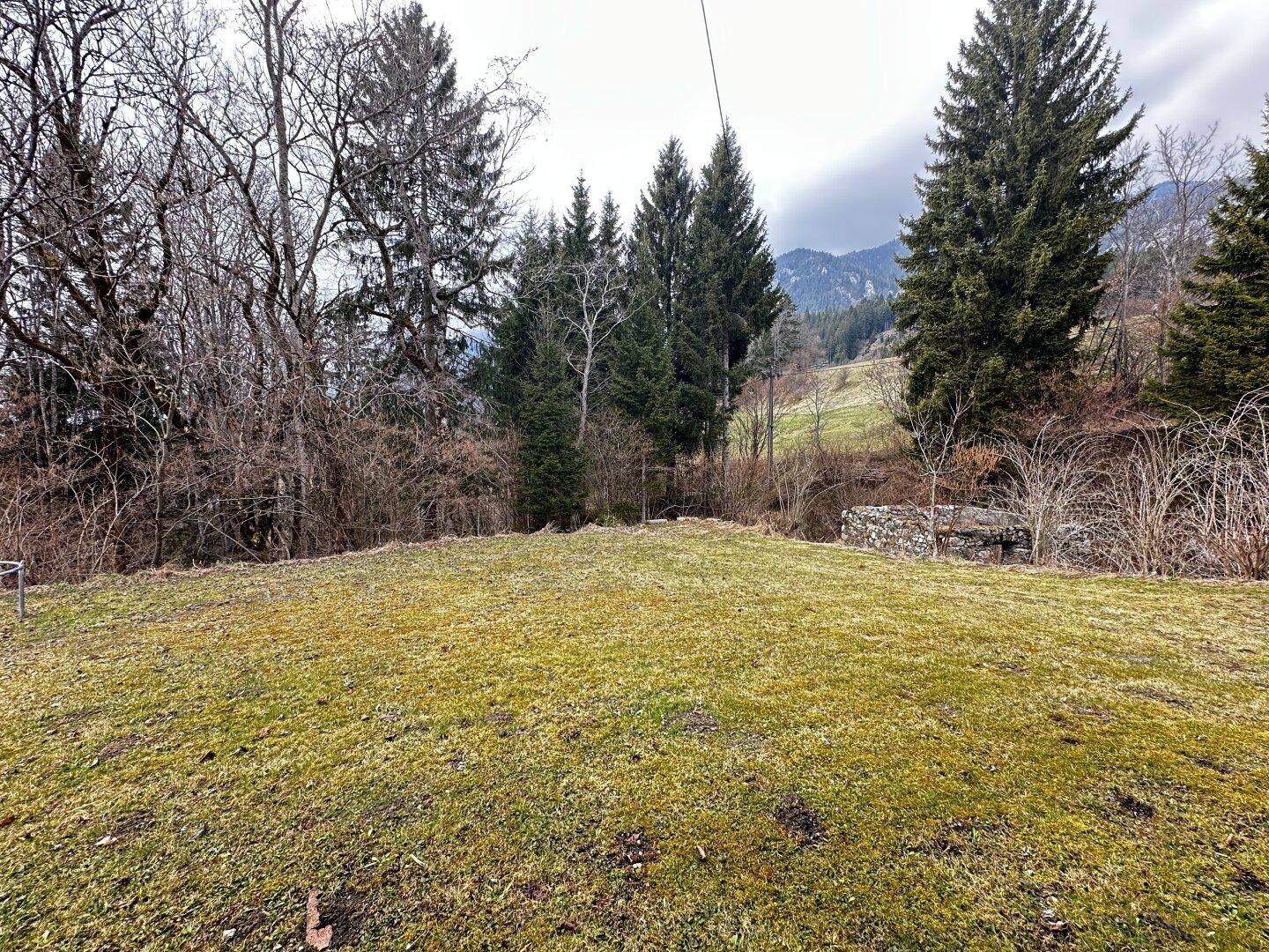 Großer Rasenbereich im Garten mit Blick auf die umliegende Natur und Berge.
