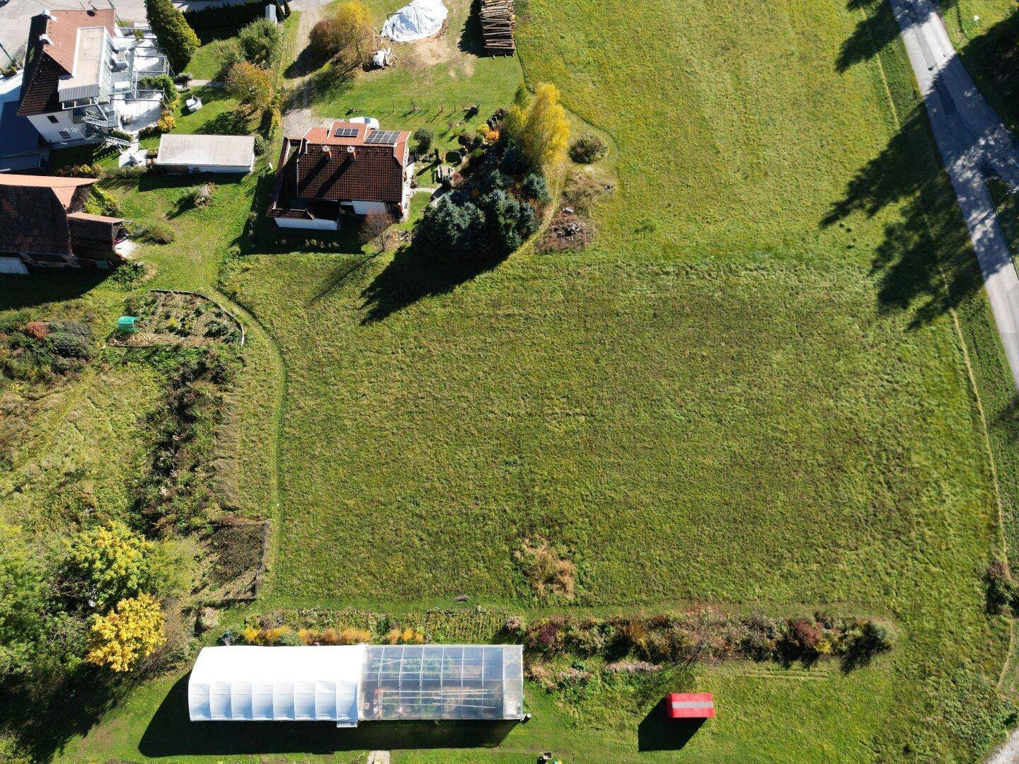 Senkrechte Luftaufnahme eines grünen Grundstücks mit einem Gewächshaus und angrenzenden Gebäuden.