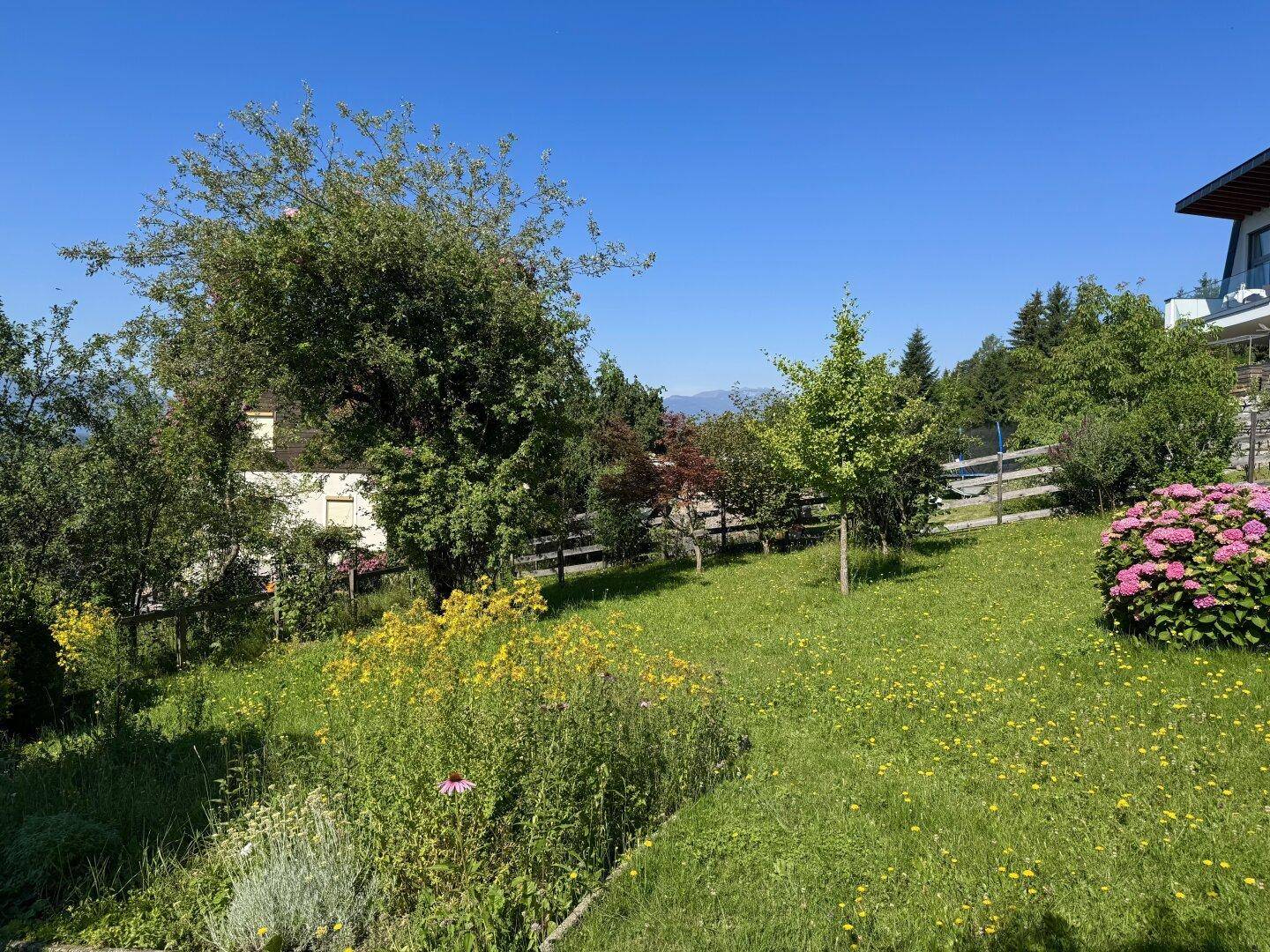 Großer, gepflegter Garten mit verschiedenen Bäumen, Sträuchern und blühenden Pflanzen.