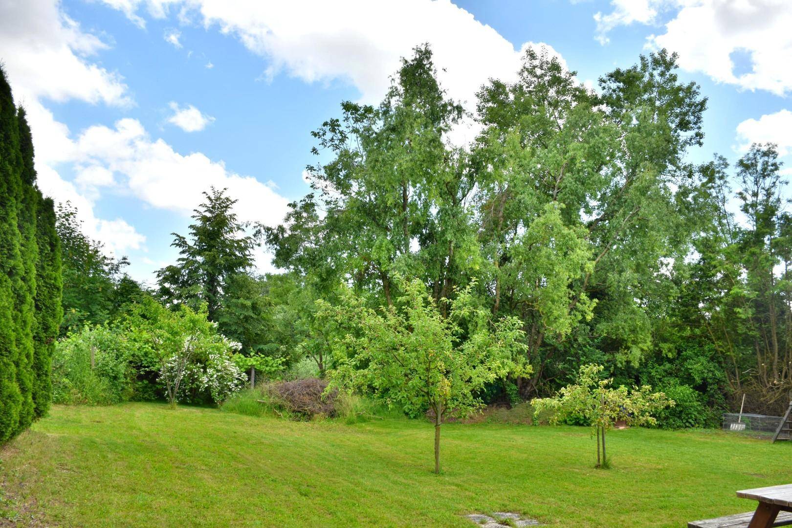 Kaufoption Gartenfläche