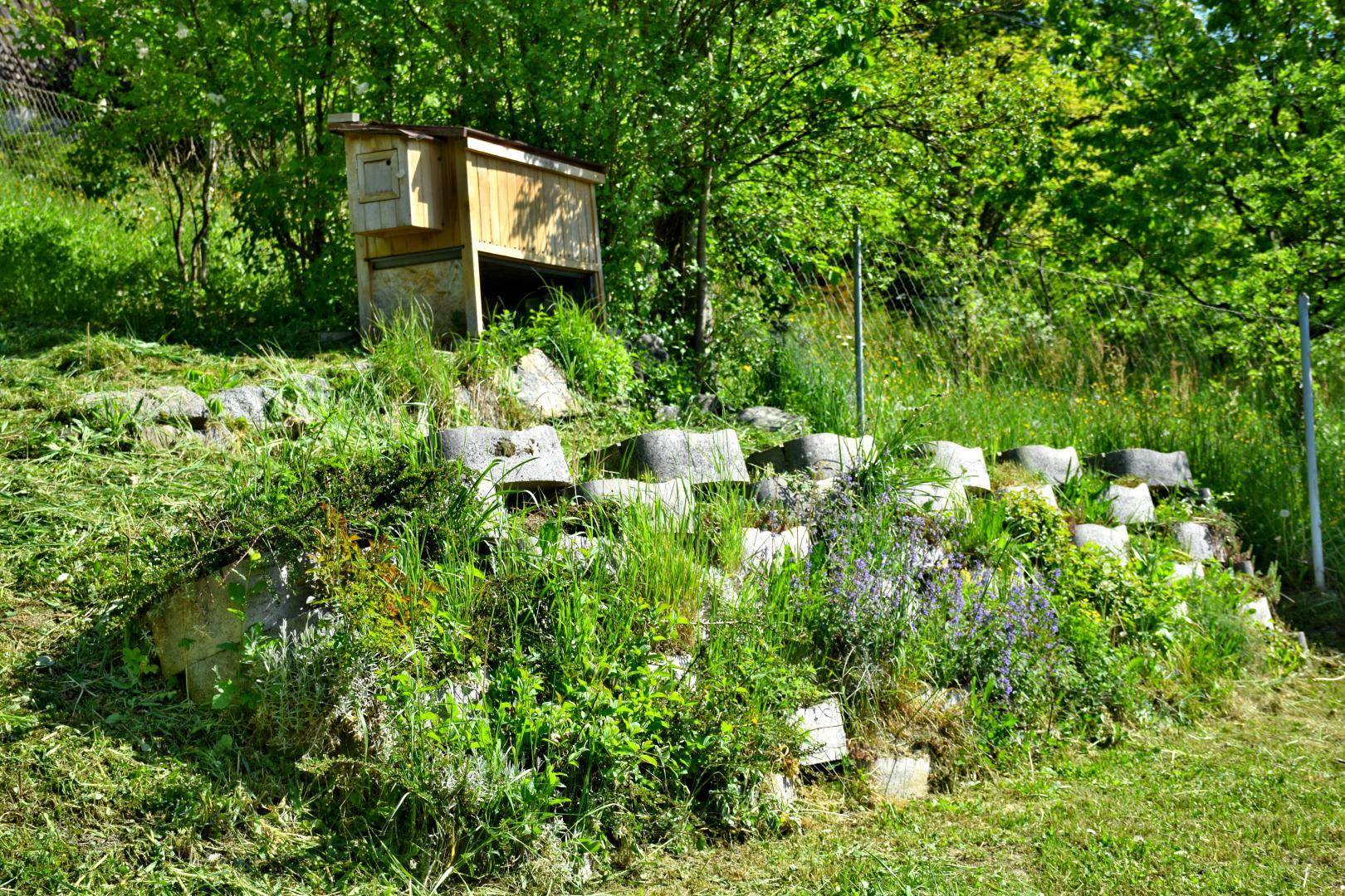 Garten nord