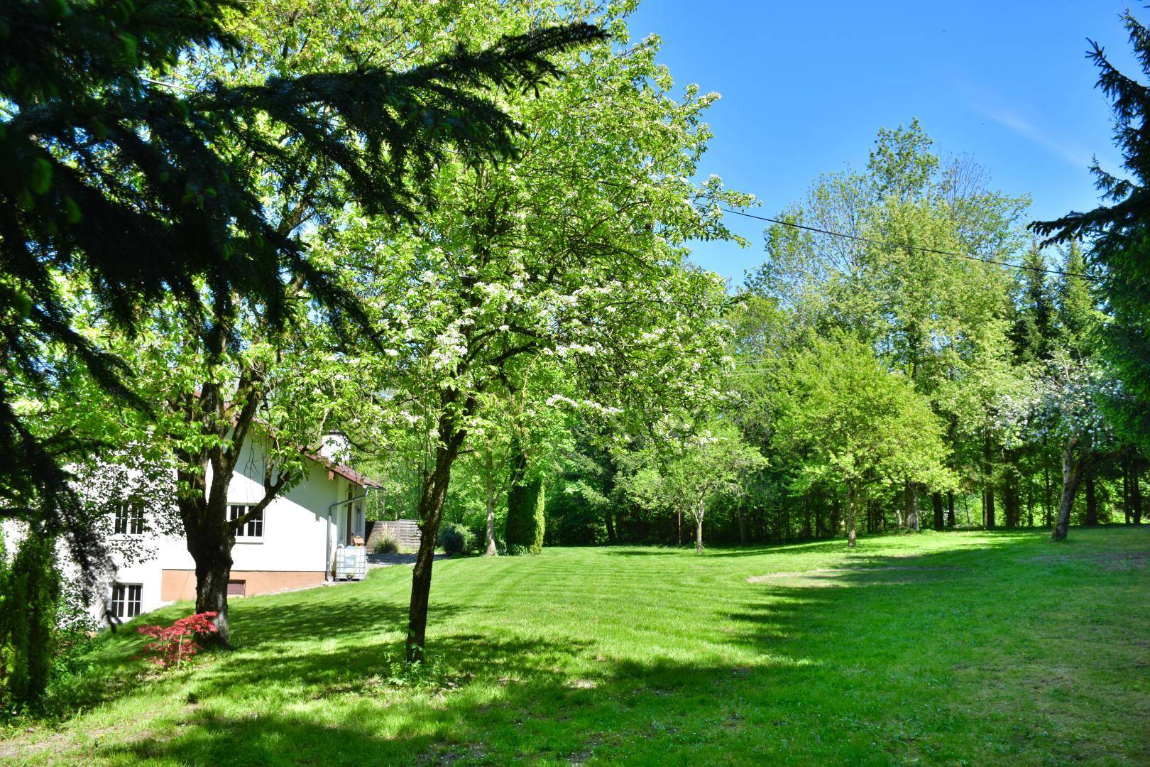 Garten südwest