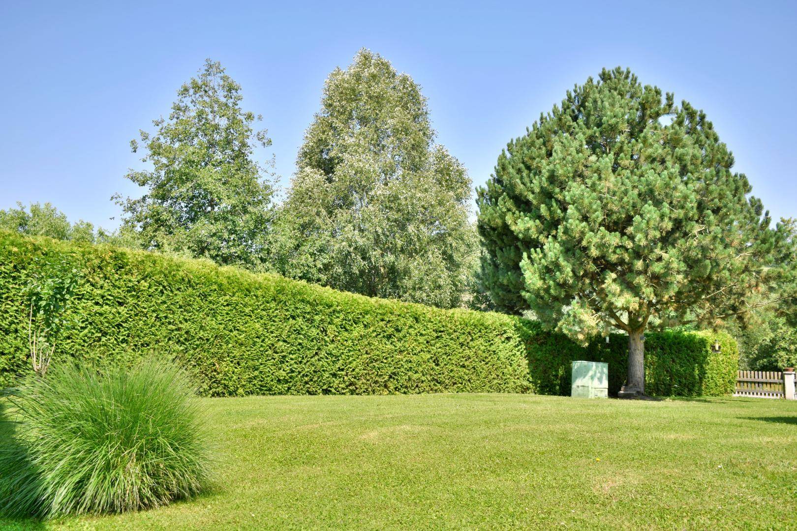 Sonniger Garten Grundstück 1.085m²
