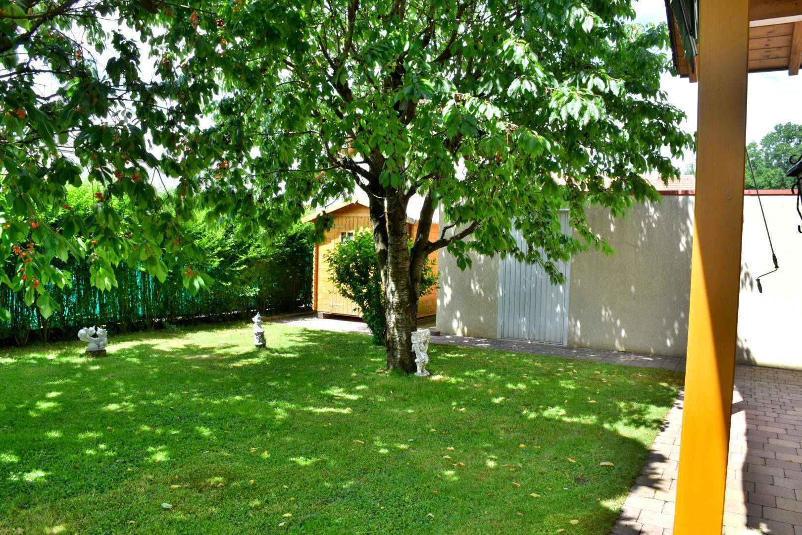 Gepflegter Rasenbereich mit einem Gartenhaus und einem großen Baum im Hintergrund.