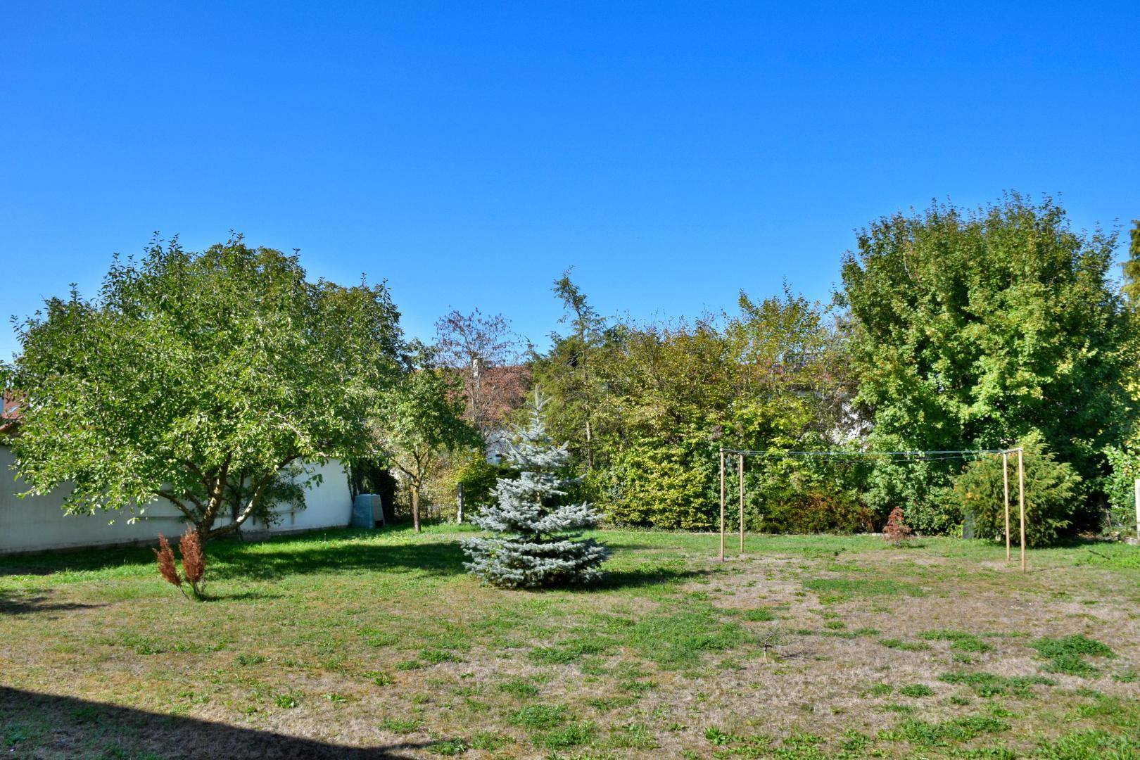 Großer, gepflegter Garten mit Rasenfläche, verschiedenen Bäumen und Wäscheleinen.