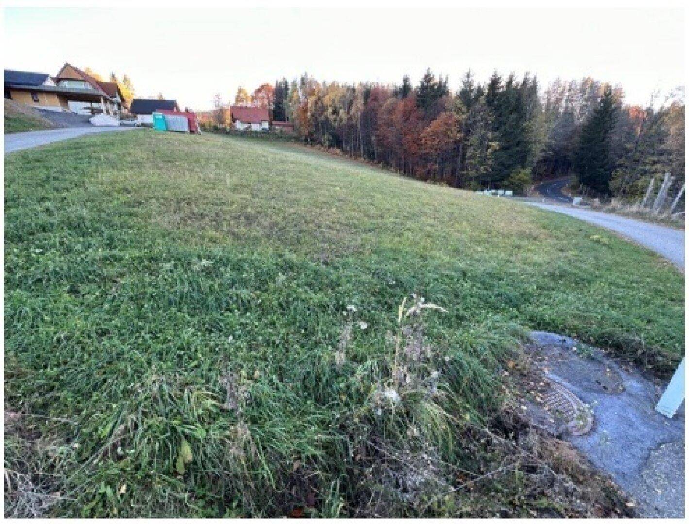 Eine sanfte grüne Anhöhe mit einem Weg und einigen Häusern in der Ferne unter blauem Himmel.
