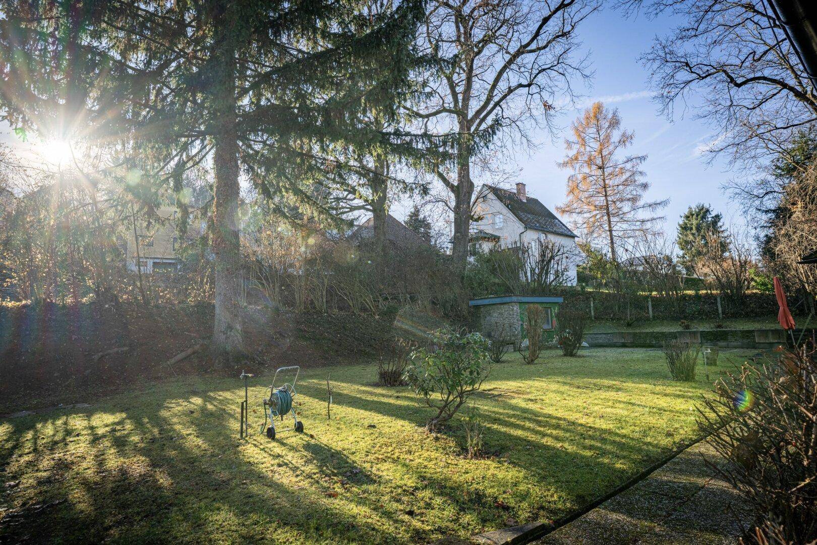 Sonniger Gartenbereich mit Rasenfläche und Bäumen, im Hintergrund ein weiteres Gebäude.