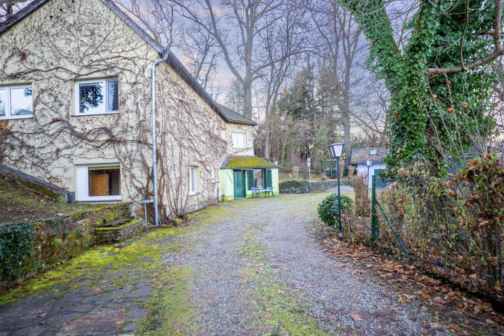 Seitenansicht des Hauses mit Efeubewuchs und der Zufahrt zum Grundstück.