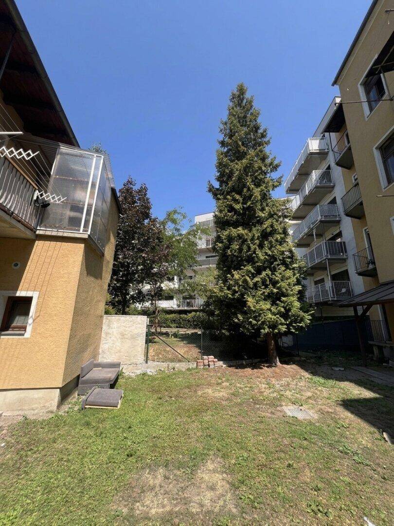 Gemeinschaftsgarten mit Rasenfläche, hohen Bäumen und Sitzgelegenheiten im Freien.