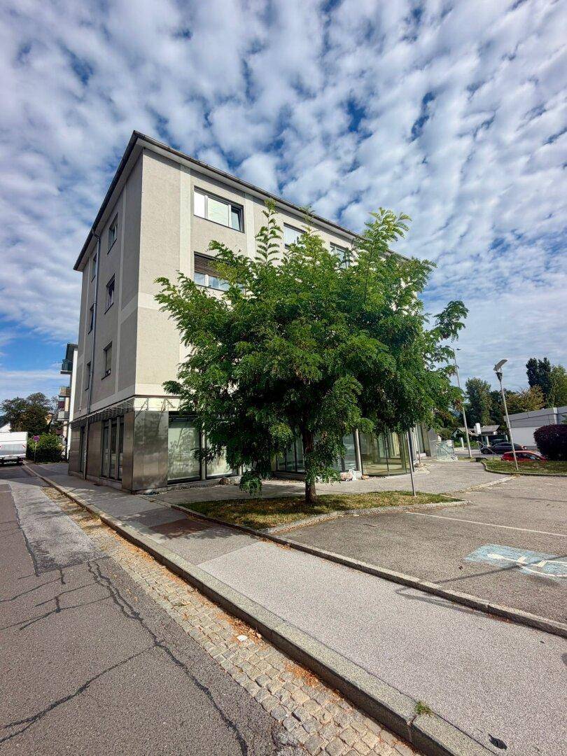 Gebäudeecke mit moderner Fassade, einem großen Baum und angrenzendem Gehweg sowie Parkplätzen.