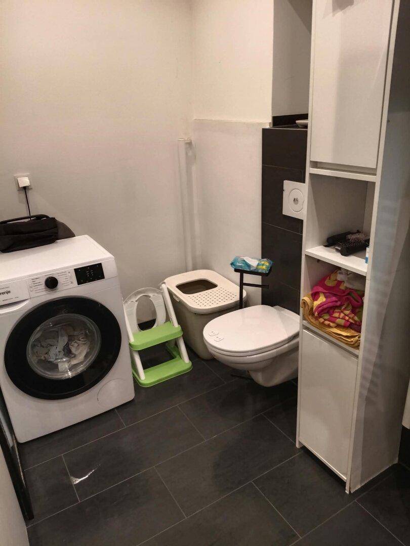 Kleiner Raum mit Toilette, Waschmaschine und einem schmalen Hochschrank für zusätzlichen Stauraum.
