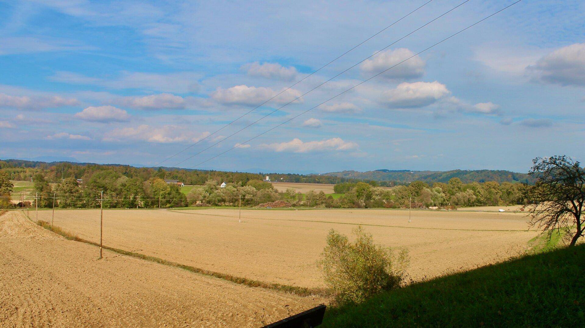 Weite Landschaft mit Feldern, Bäumen und einem blauen Himmel mit Wolken.