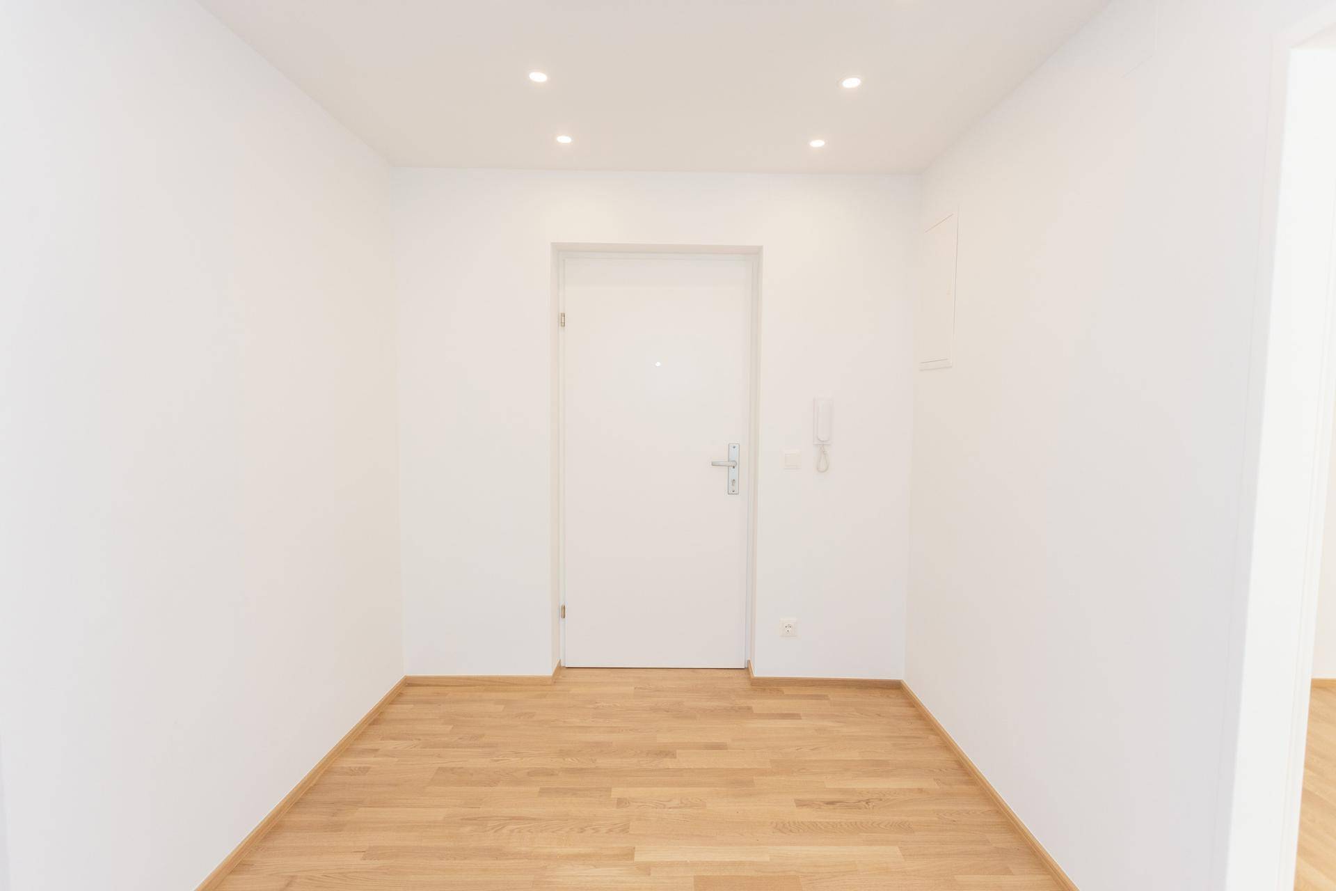 Heller Eingangsbereich mit Holzboden und weiß gestrichenen Wänden, frisch renoviert.