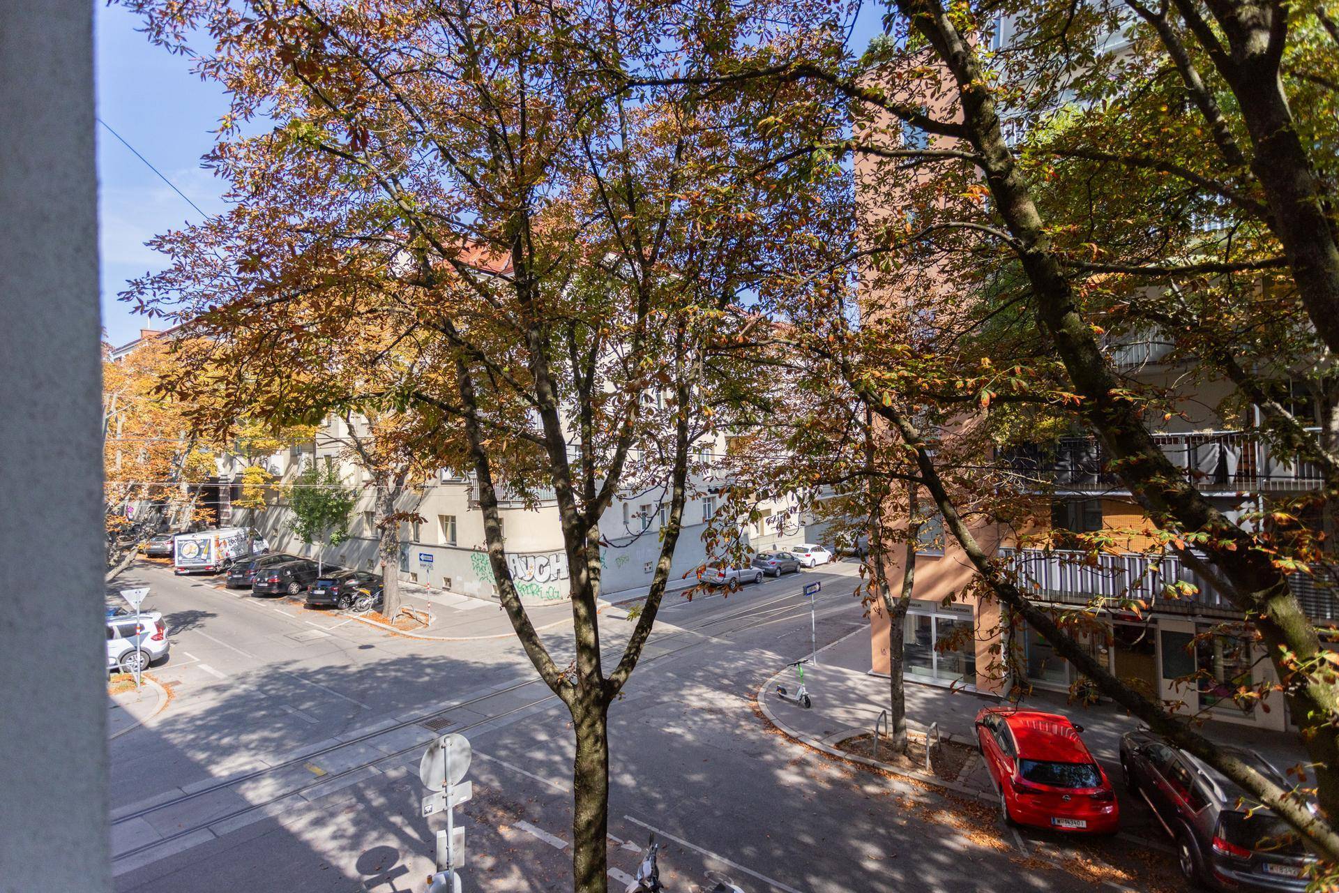 Blick von einem Fenster auf eine belebte Straße mit Bäumen und parkenden Autos.