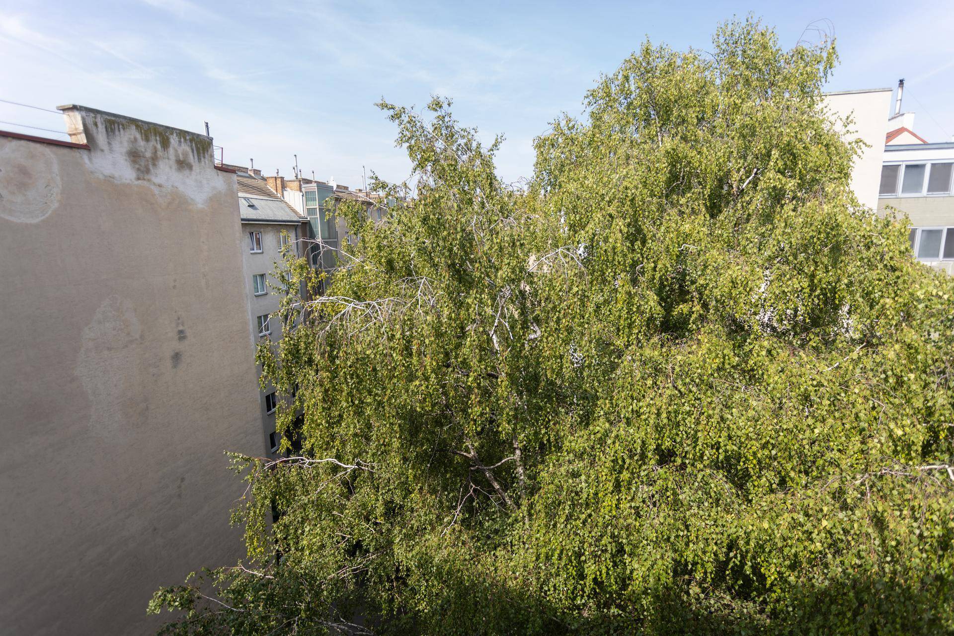 Blick auf üppiges Grün und angrenzende Gebäude von der Wohnung aus, mit blauem Himmel.